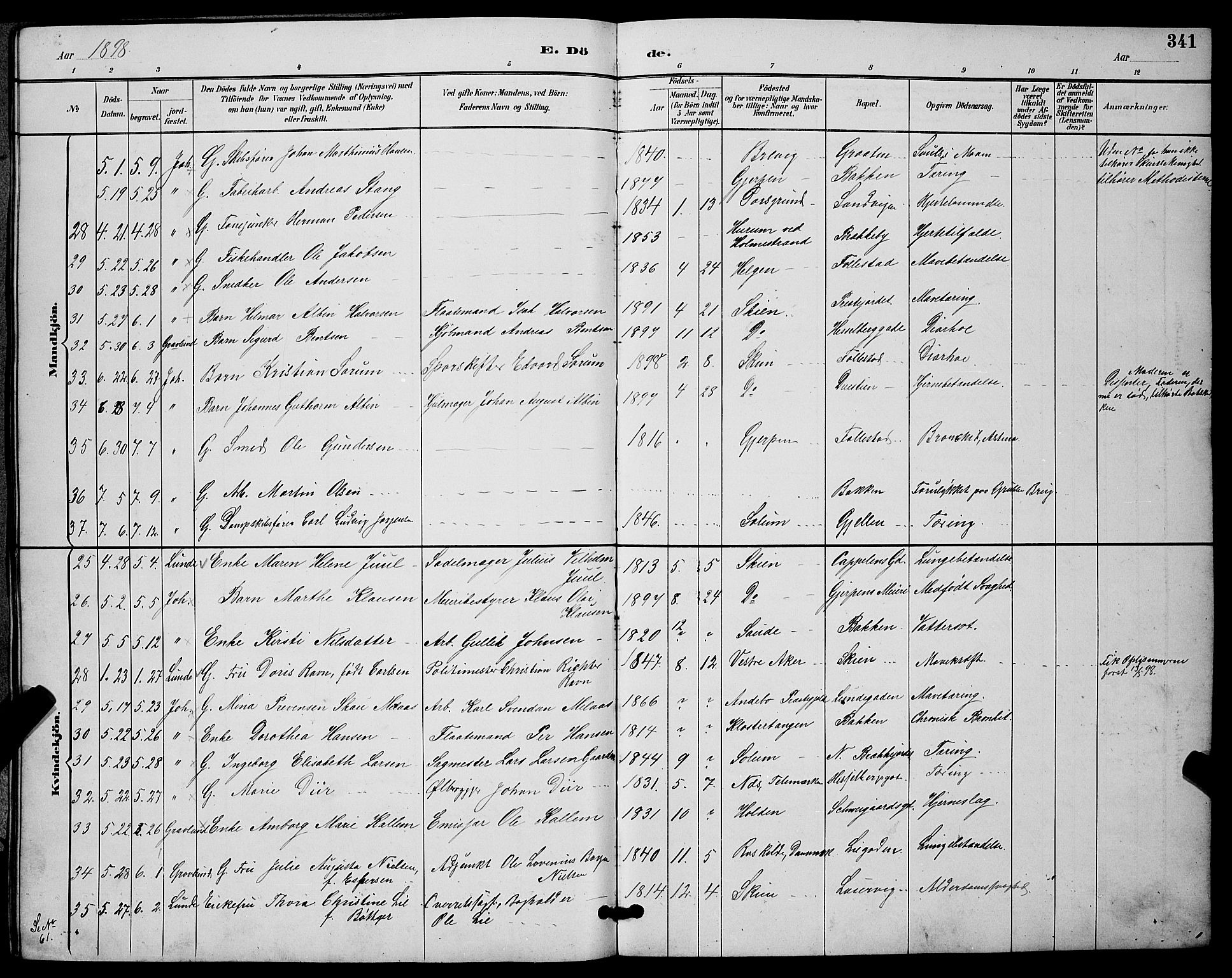 Skien kirkebøker, AV/SAKO-A-302/G/Ga/L0007: Parish register (copy) no. 7, 1891-1900, p. 341
