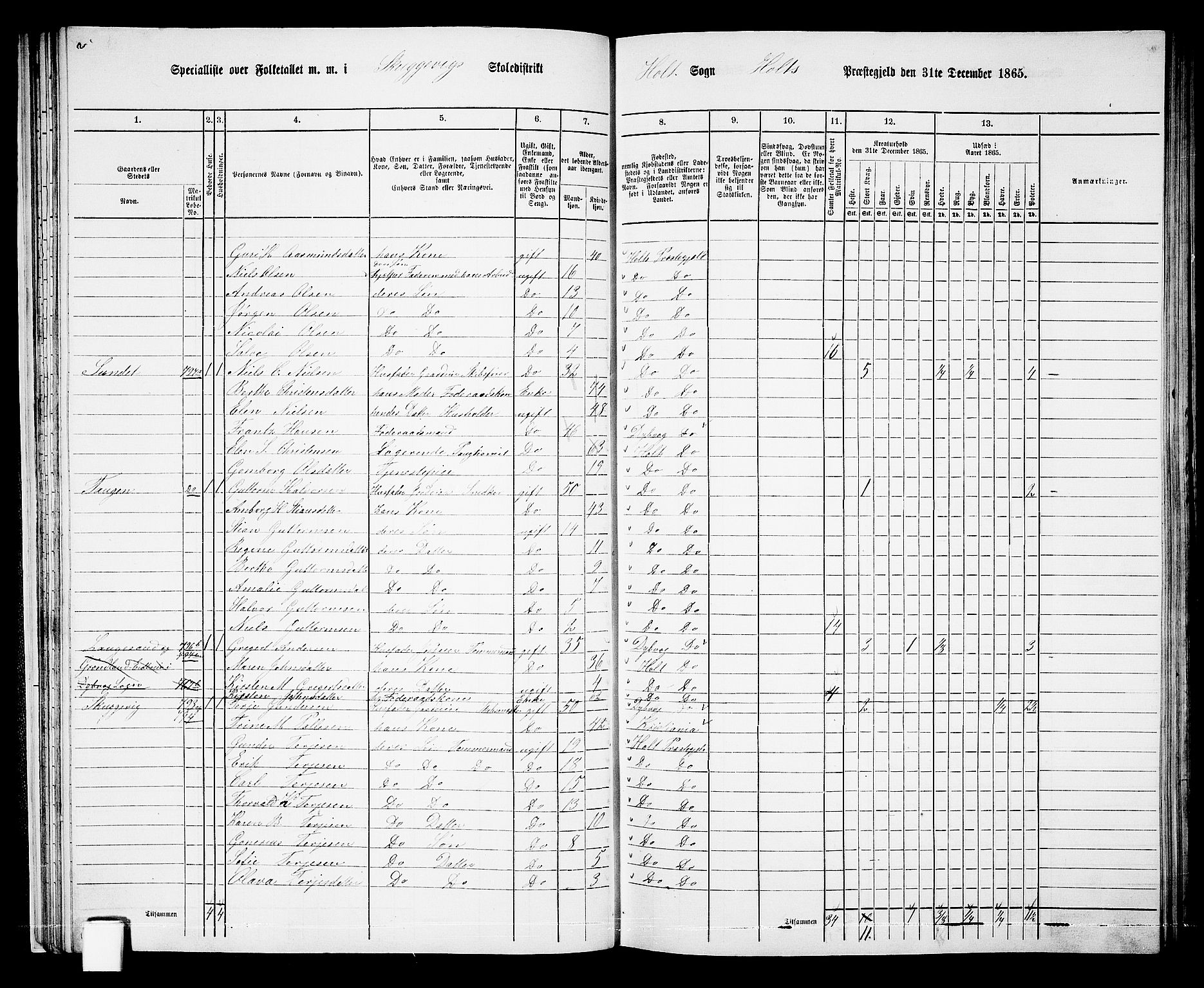 RA, 1865 census for Holt/Holt, 1865, p. 30