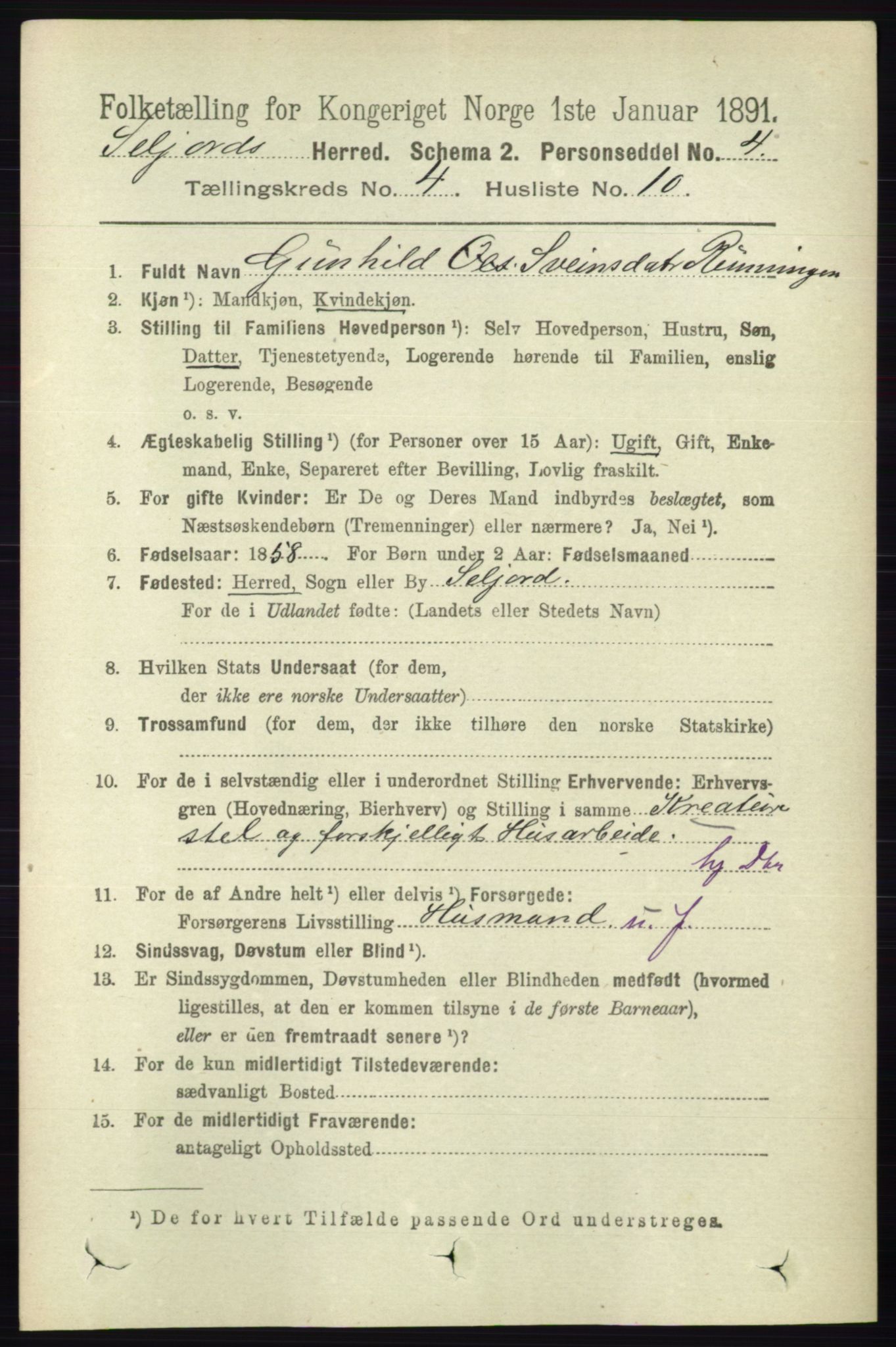 RA, 1891 census for 0828 Seljord, 1891, p. 1344