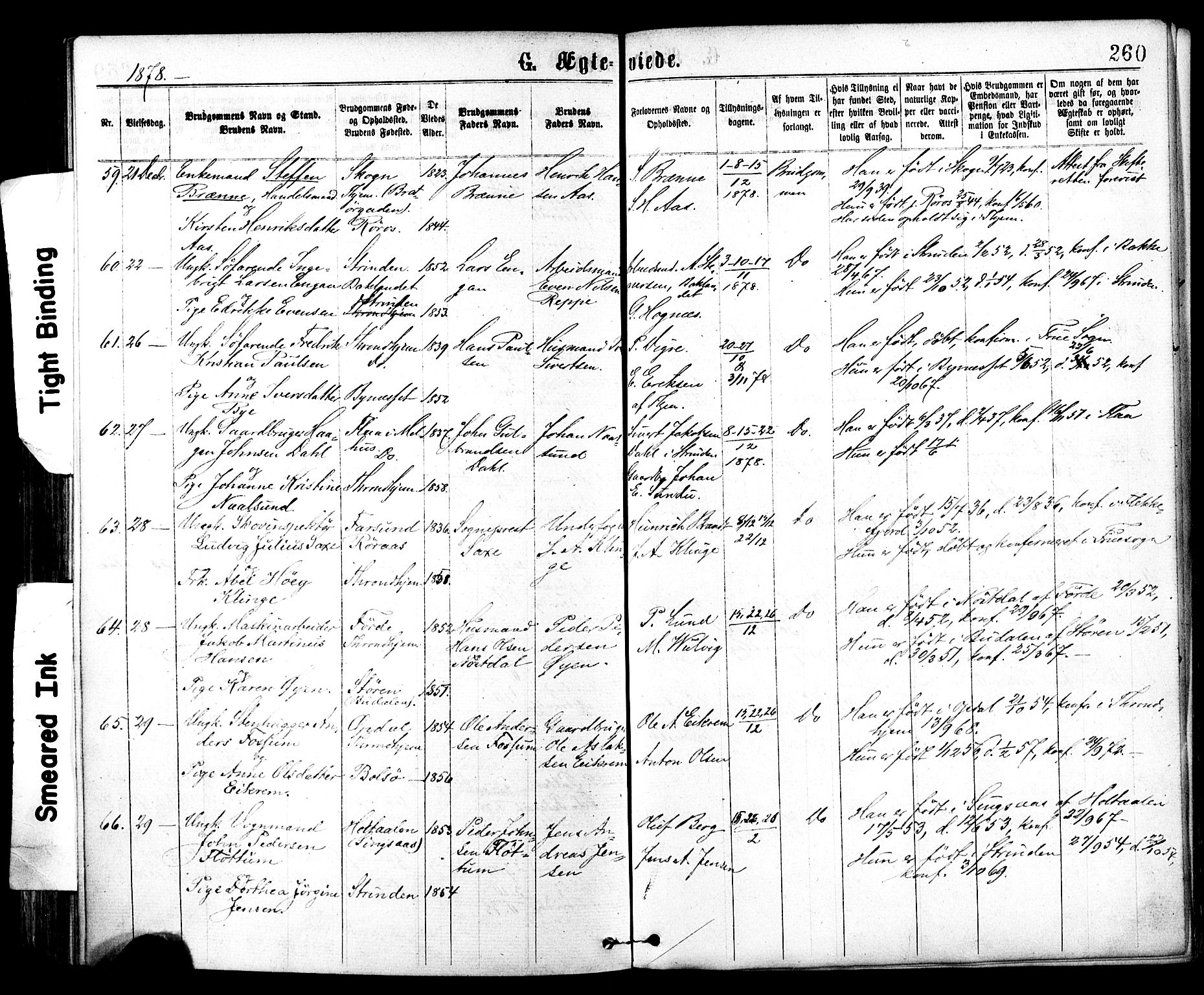 Ministerialprotokoller, klokkerbøker og fødselsregistre - Sør-Trøndelag, SAT/A-1456/602/L0118: Parish register (official) no. 602A16, 1873-1879, p. 260