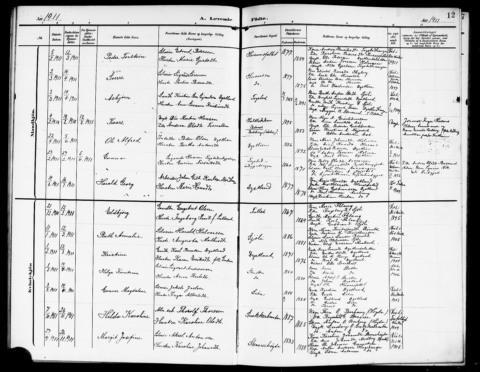 Nes prestekontor Kirkebøker, AV/SAO-A-10410/G/Gd/L0001: Parish register (copy) no. IV 1, 1907-1922, p. 12