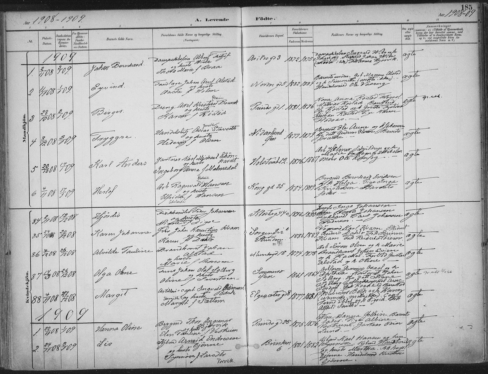 Ministerialprotokoller, klokkerbøker og fødselsregistre - Sør-Trøndelag, SAT/A-1456/601/L0062: Parish register (official) no. 601A30, 1891-1911, p. 185