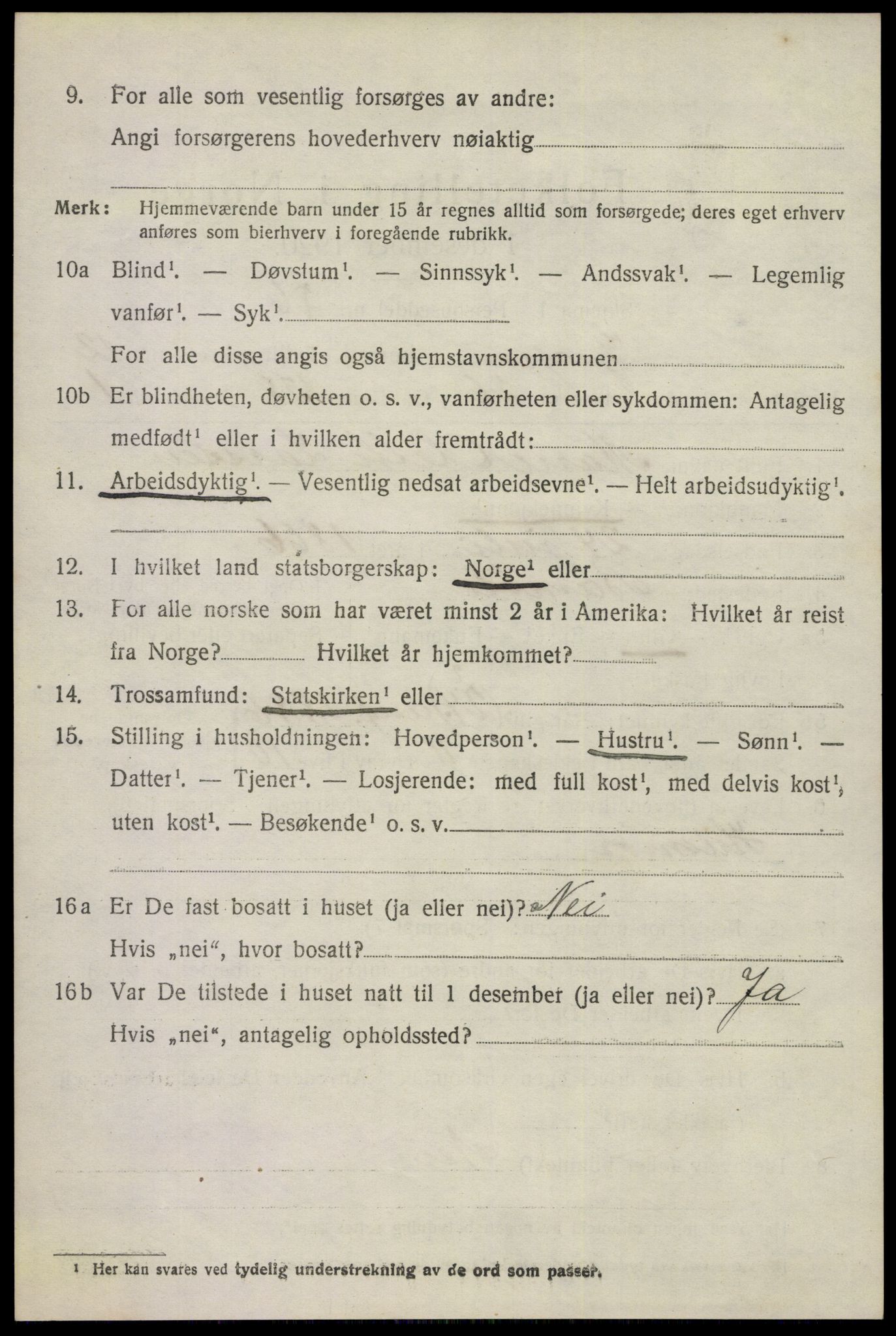 SAKO, 1920 census for Gjerpen, 1920, p. 13807