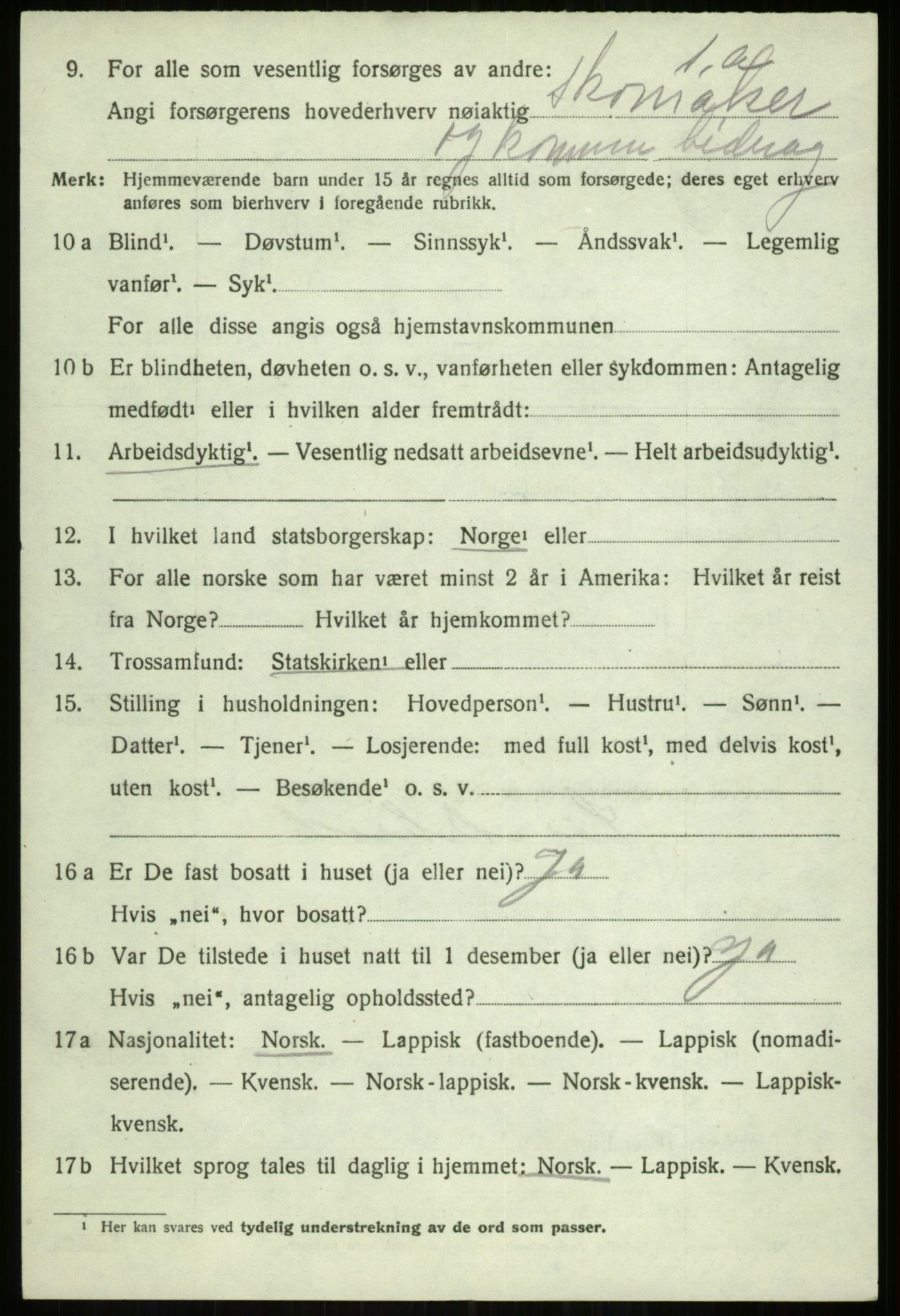 SATØ, 1920 census for Tromsøysund, 1920, p. 4981