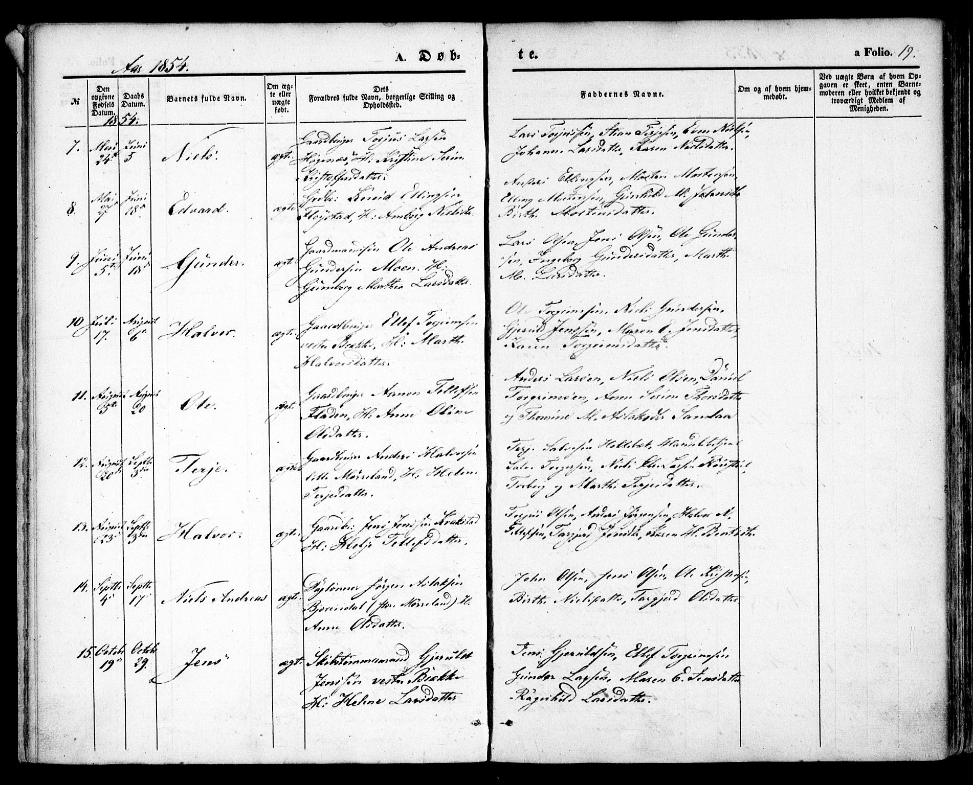 Austre Moland sokneprestkontor, SAK/1111-0001/F/Fa/Faa/L0007: Parish register (official) no. A 7, 1847-1857, p. 19