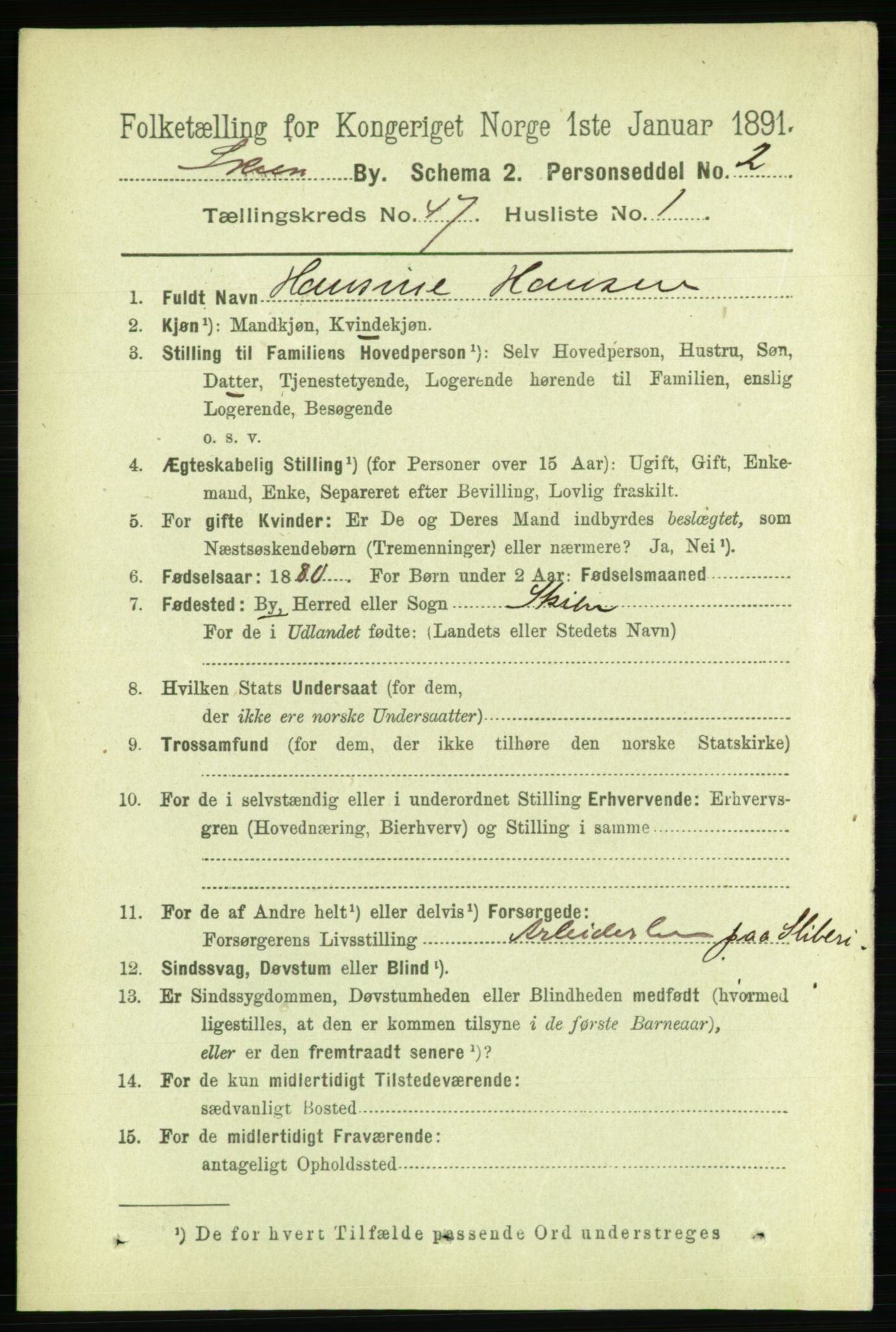 RA, 1891 census for 0806 Skien, 1891, p. 9207