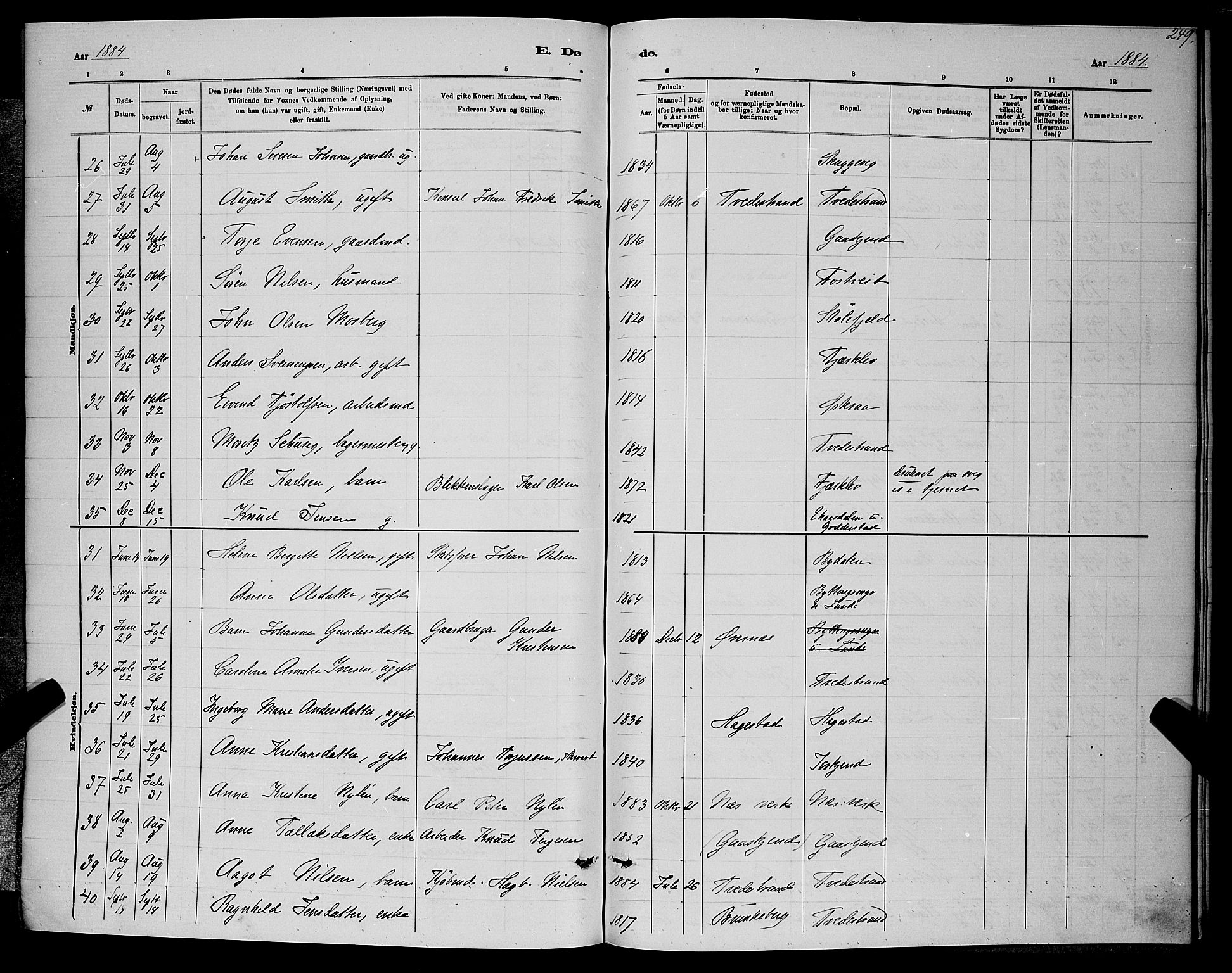 Holt sokneprestkontor, AV/SAK-1111-0021/F/Fb/L0010: Parish register (copy) no. B 10, 1883-1896, p. 249