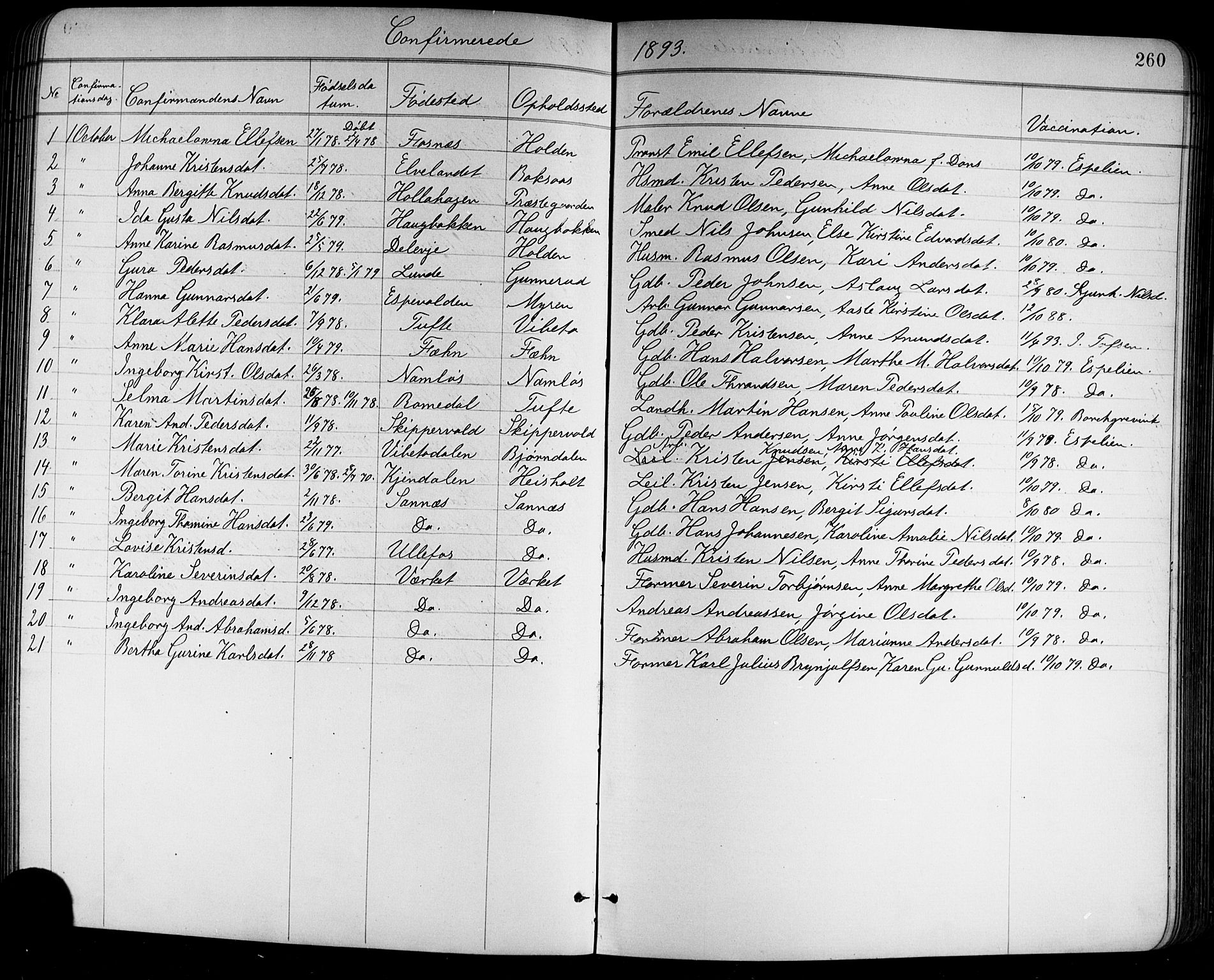 Holla kirkebøker, SAKO/A-272/G/Ga/L0005: Parish register (copy) no. I 5, 1891-1917, p. 260