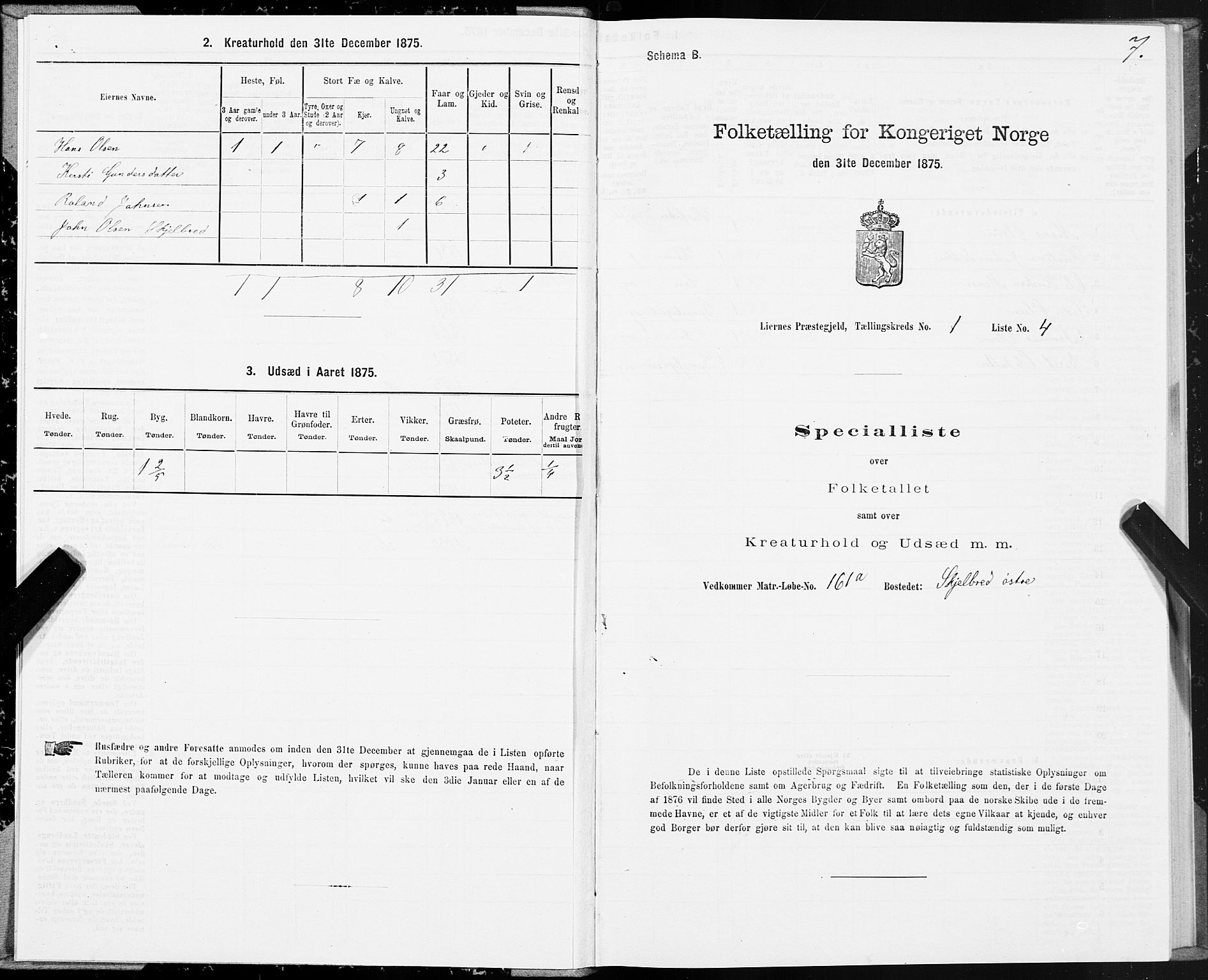 SAT, 1875 census for 1737P Lierne, 1875, p. 1007