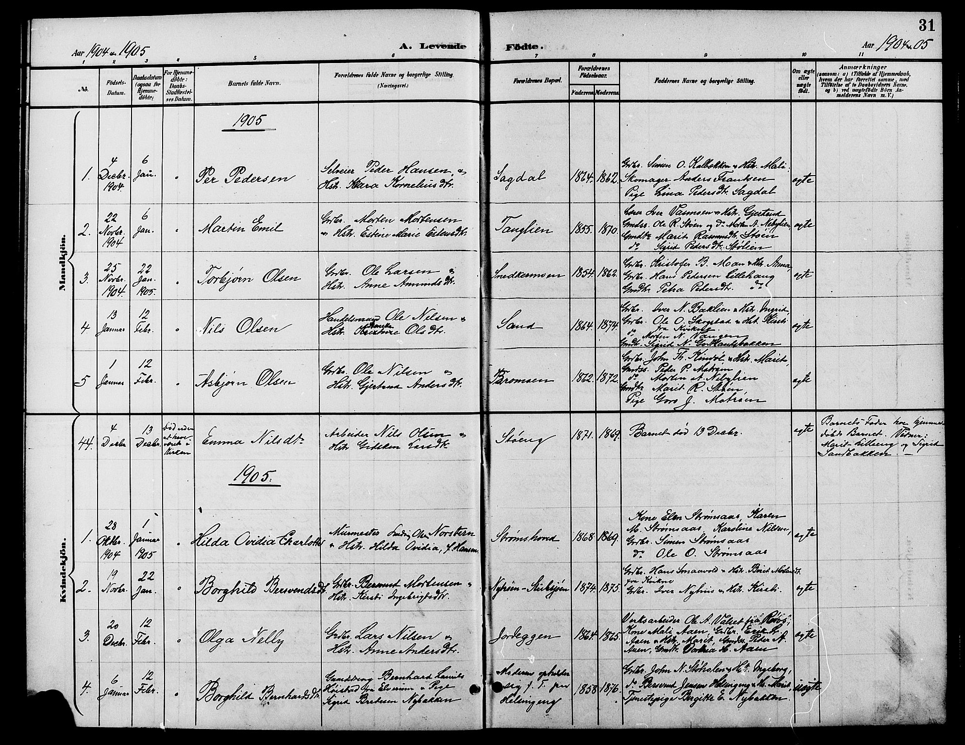 Tynset prestekontor, SAH/PREST-058/H/Ha/Hab/L0009: Parish register (copy) no. 9, 1900-1914, p. 31