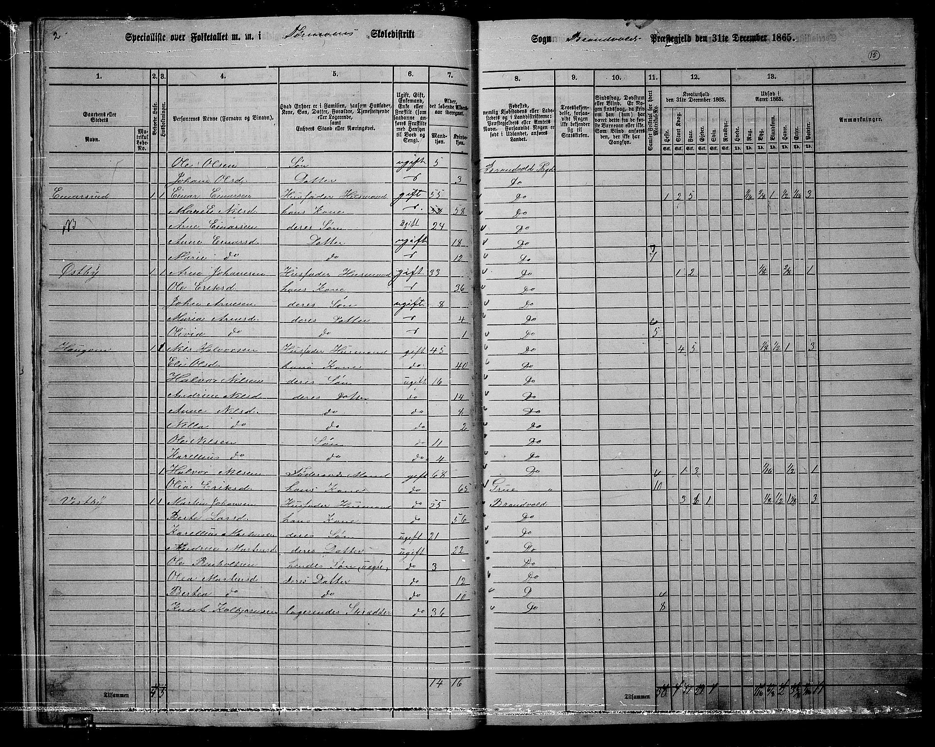 RA, 1865 census for Brandval, 1865, p. 14