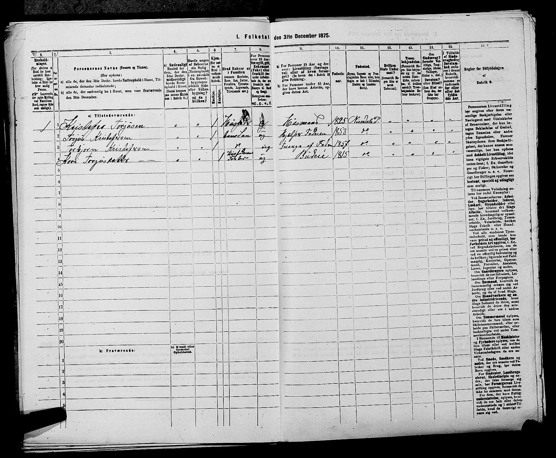 SAKO, 1875 census for 0830P Nissedal, 1875, p. 100