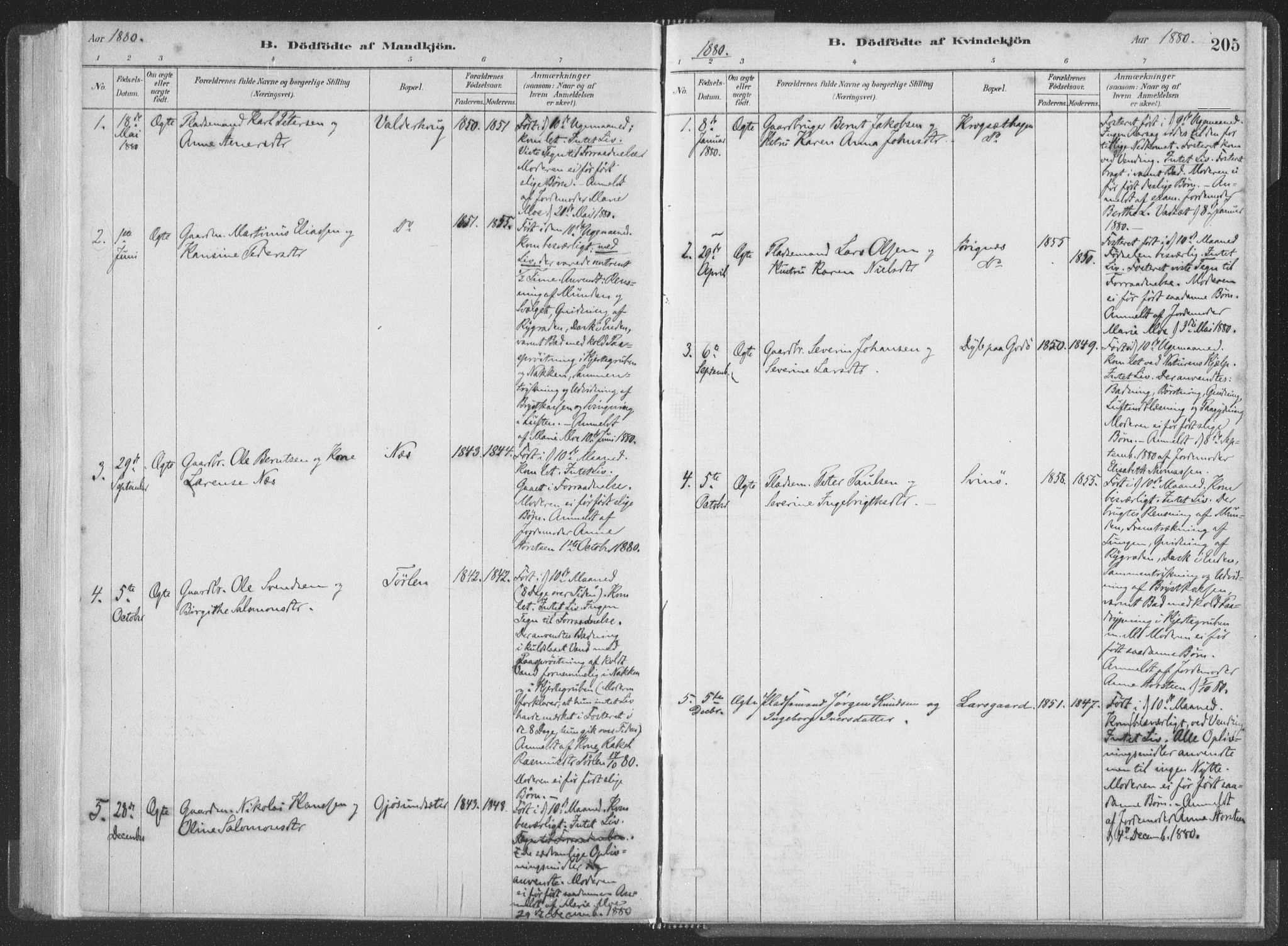 Ministerialprotokoller, klokkerbøker og fødselsregistre - Møre og Romsdal, SAT/A-1454/528/L0401: Parish register (official) no. 528A12I, 1880-1920, p. 205