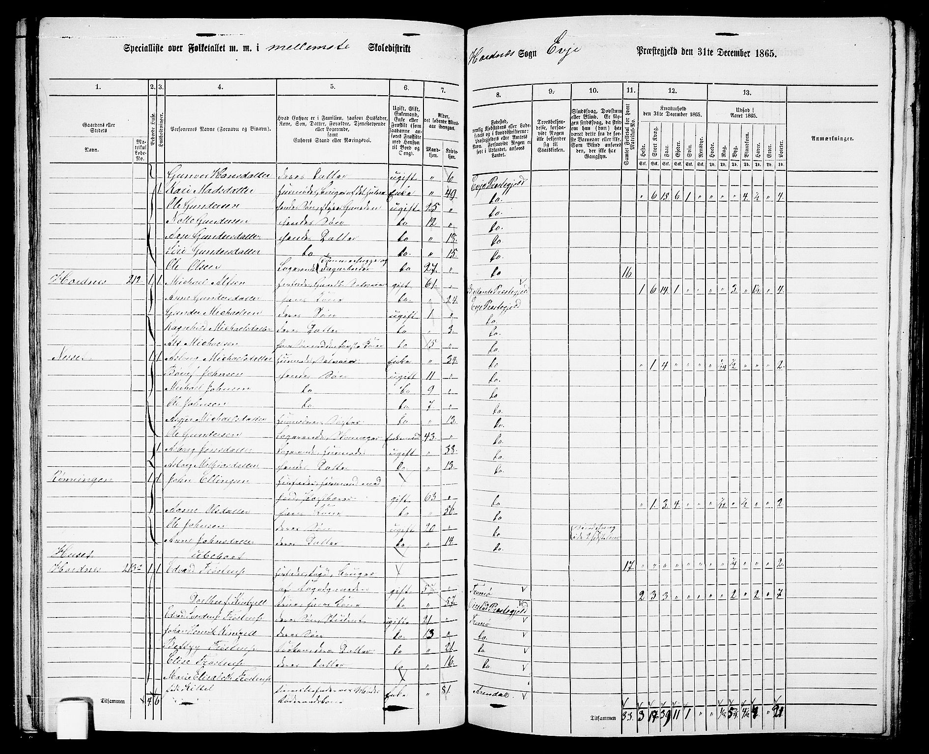 RA, 1865 census for Evje, 1865, p. 92