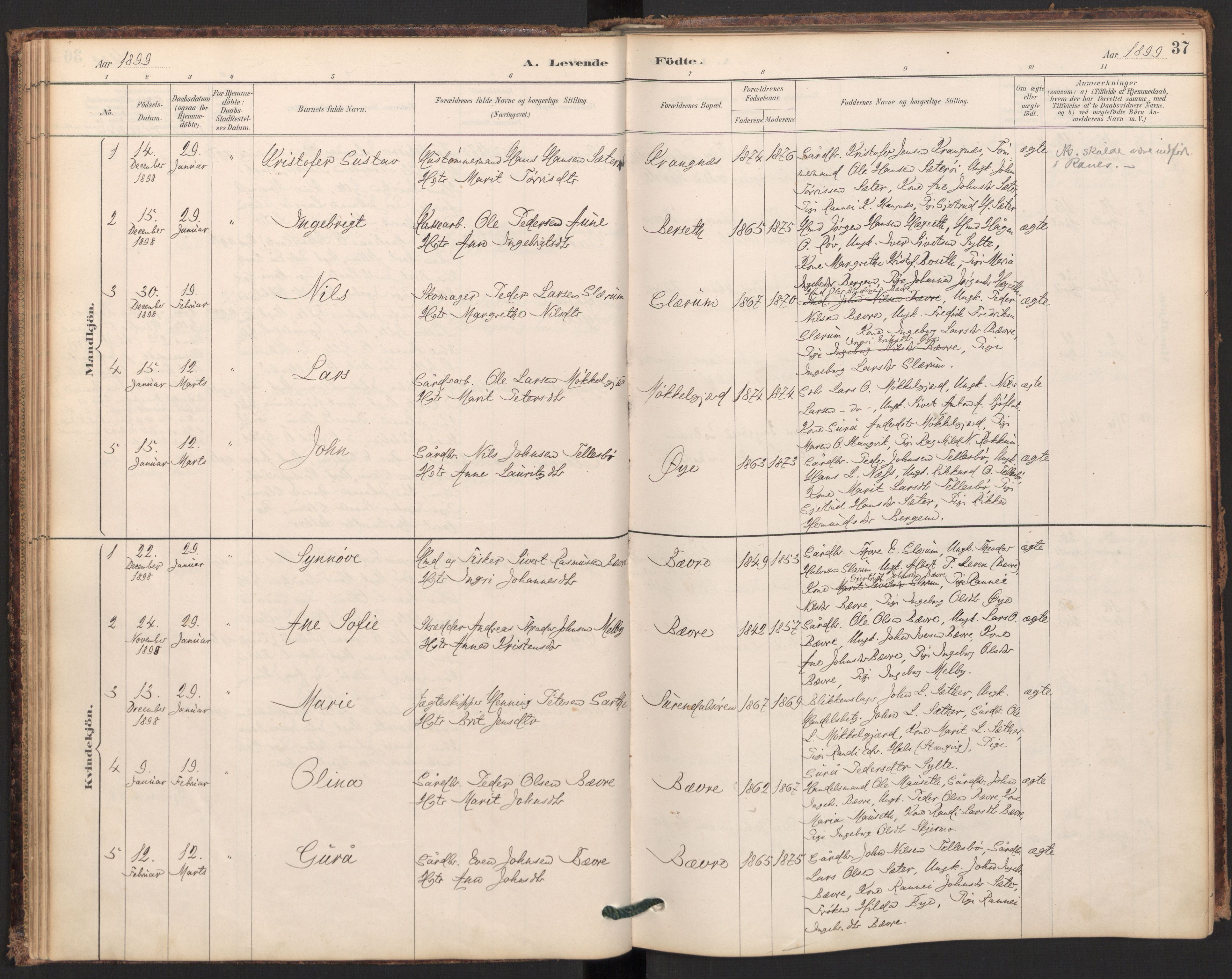 Ministerialprotokoller, klokkerbøker og fødselsregistre - Møre og Romsdal, SAT/A-1454/595/L1047: Parish register (official) no. 595A09, 1885-1900, p. 37