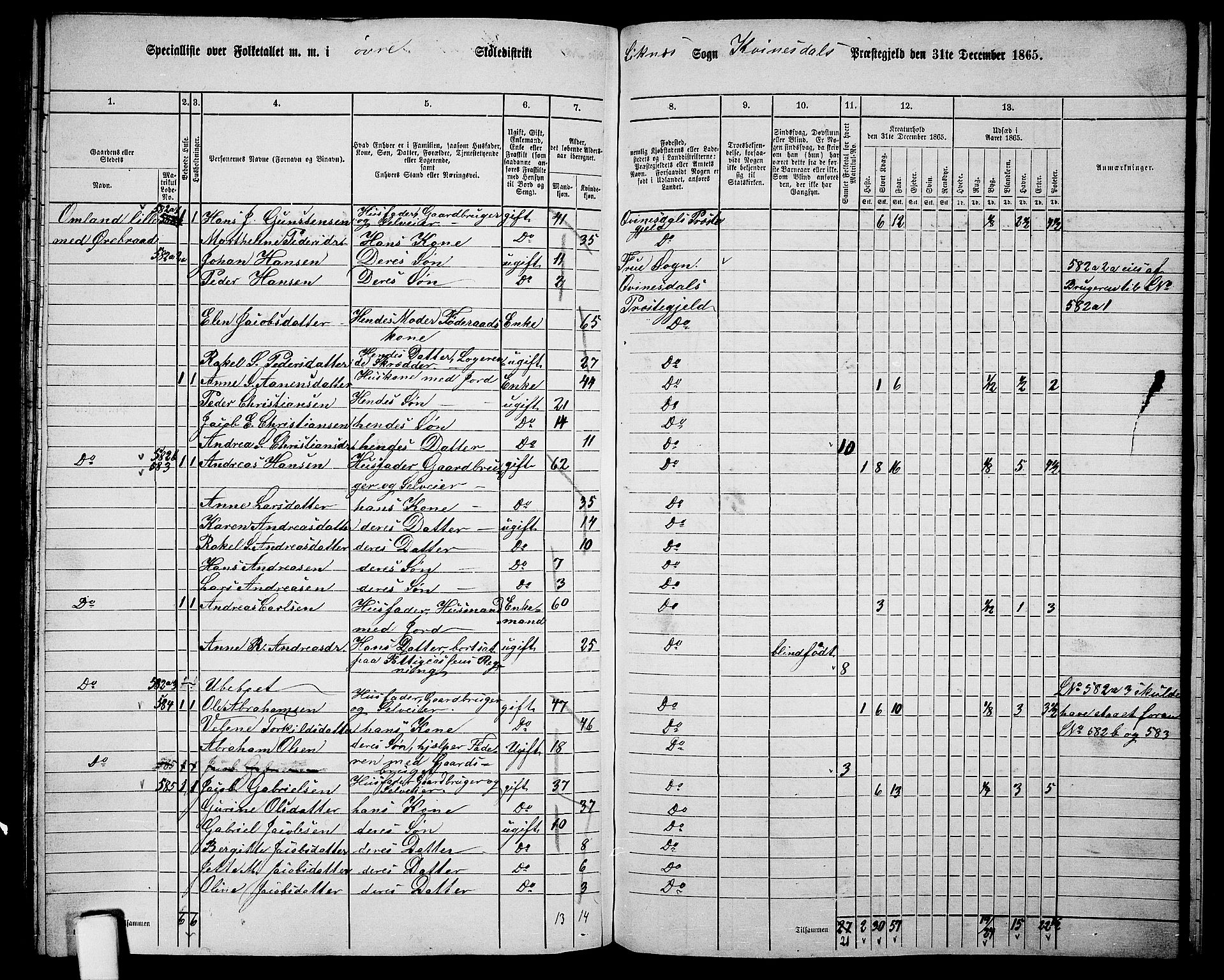 RA, 1865 census for Kvinesdal, 1865, p. 160