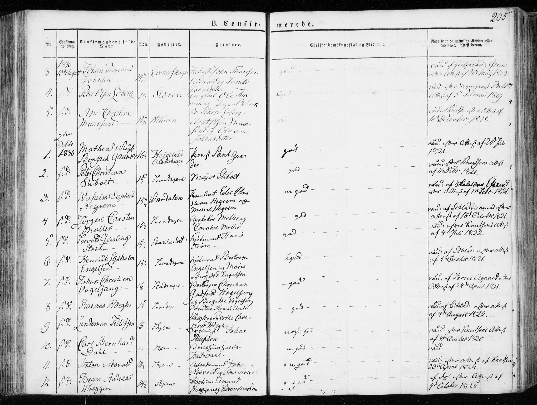 Ministerialprotokoller, klokkerbøker og fødselsregistre - Sør-Trøndelag, SAT/A-1456/601/L0047: Parish register (official) no. 601A15, 1831-1839, p. 205