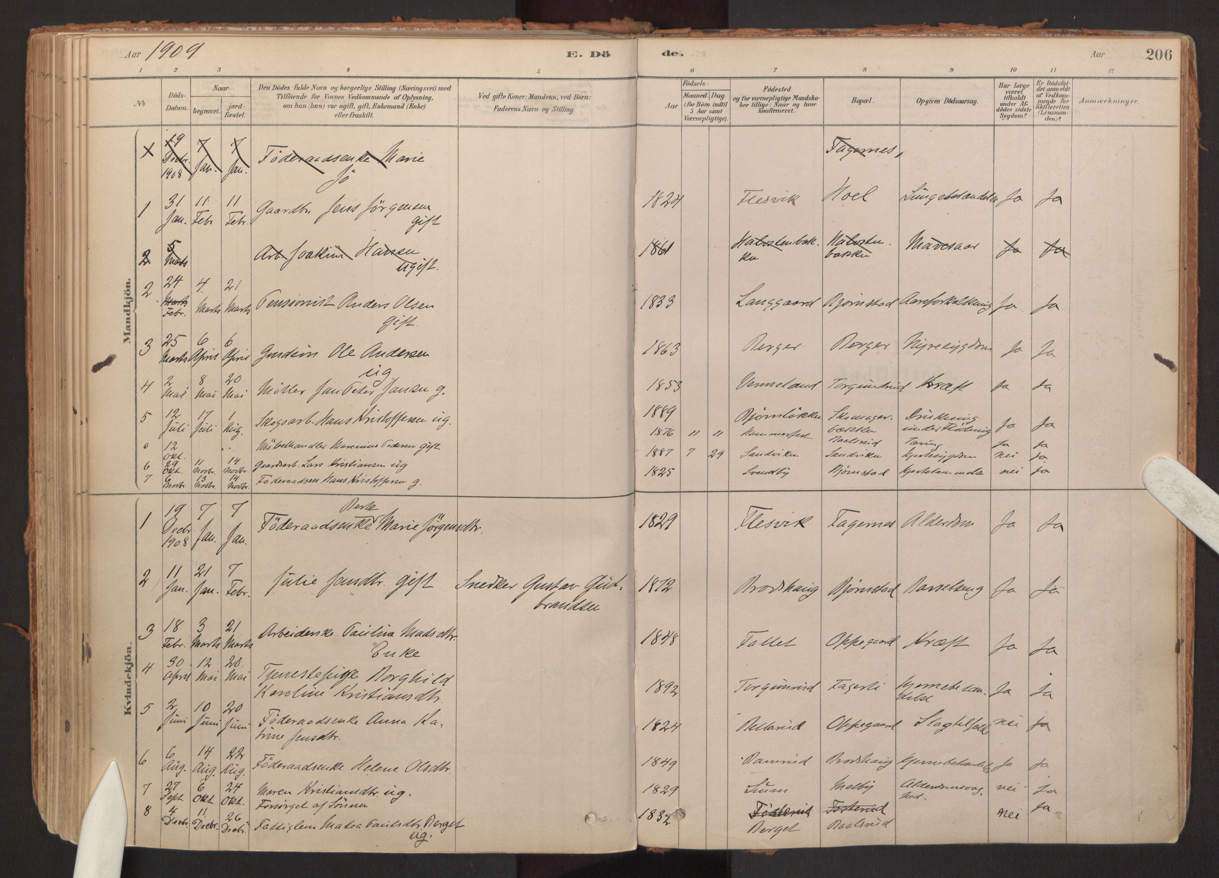 Hurdal prestekontor Kirkebøker, SAO/A-10889/F/Fb/L0003: Parish register (official) no. II 3, 1878-1920, p. 206