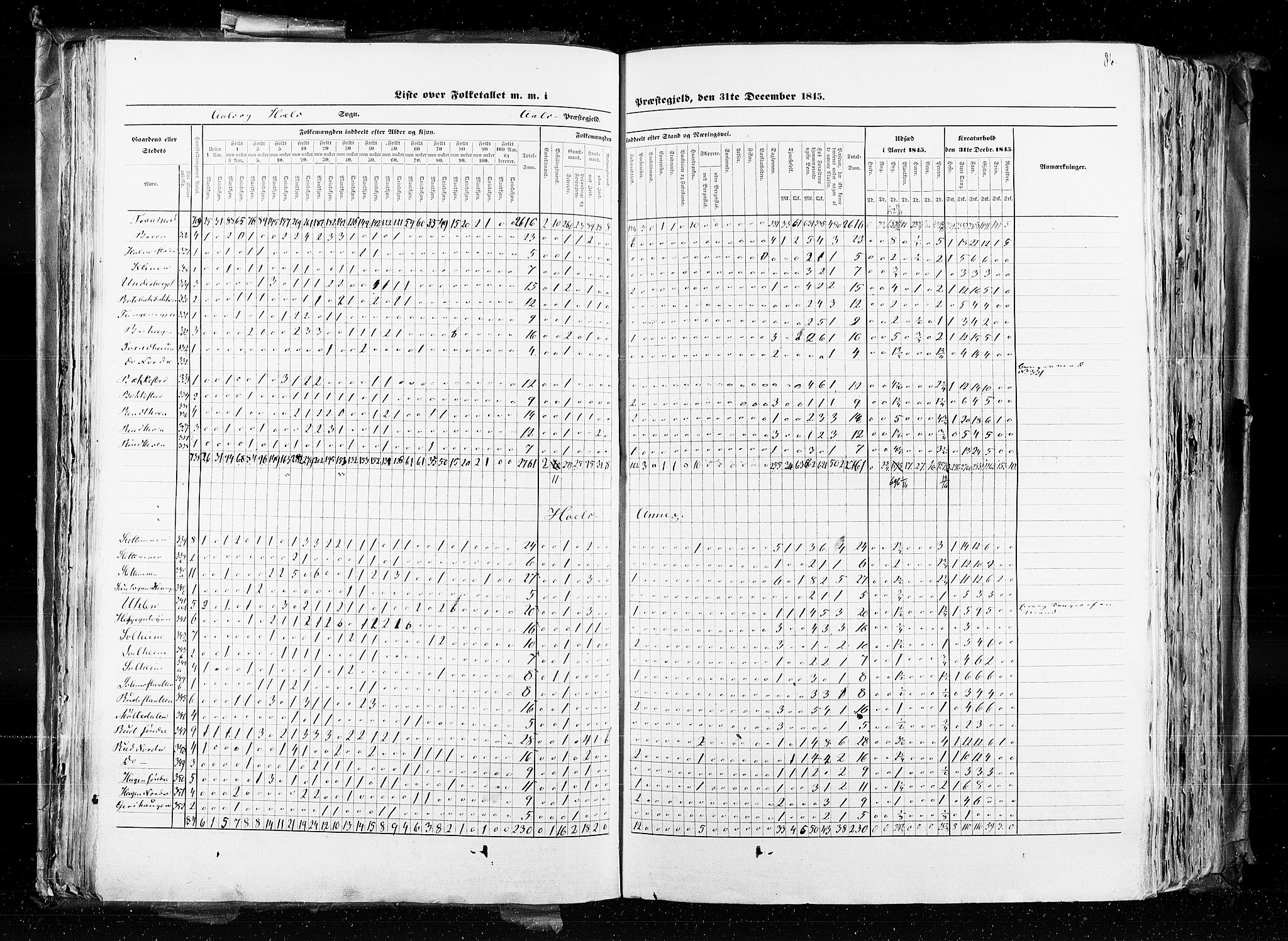 RA, Census 1845, vol. 4: Buskerud amt og Jarlsberg og Larvik amt, 1845, p. 86