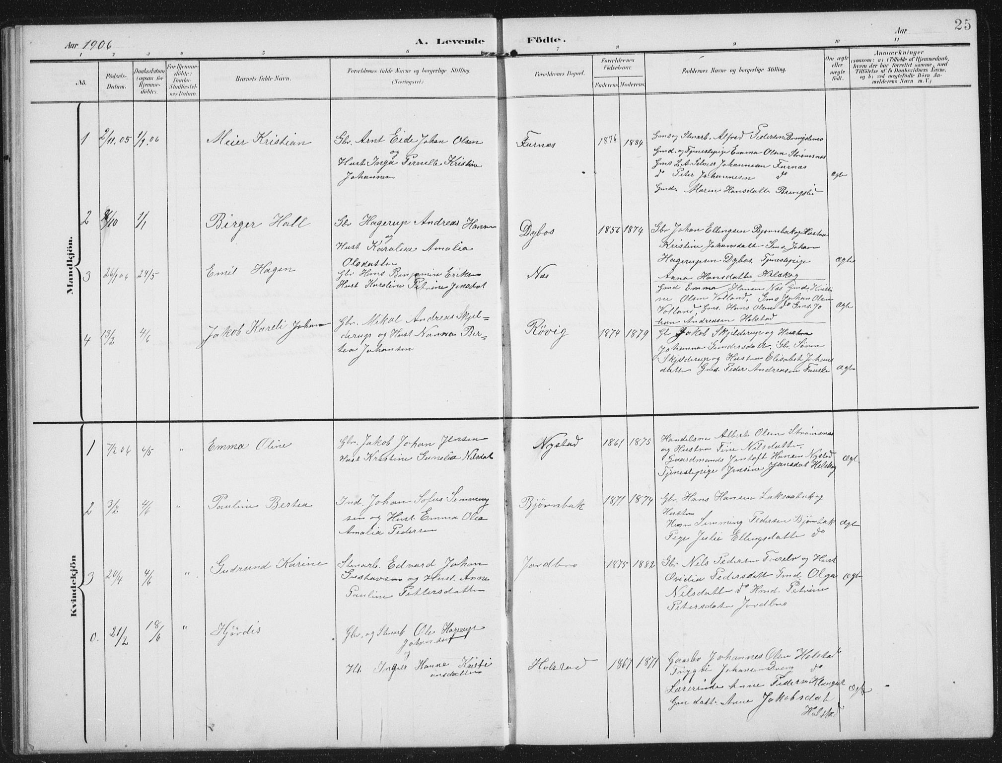 Ministerialprotokoller, klokkerbøker og fødselsregistre - Nordland, AV/SAT-A-1459/851/L0726: Parish register (copy) no. 851C01, 1902-1924, p. 25