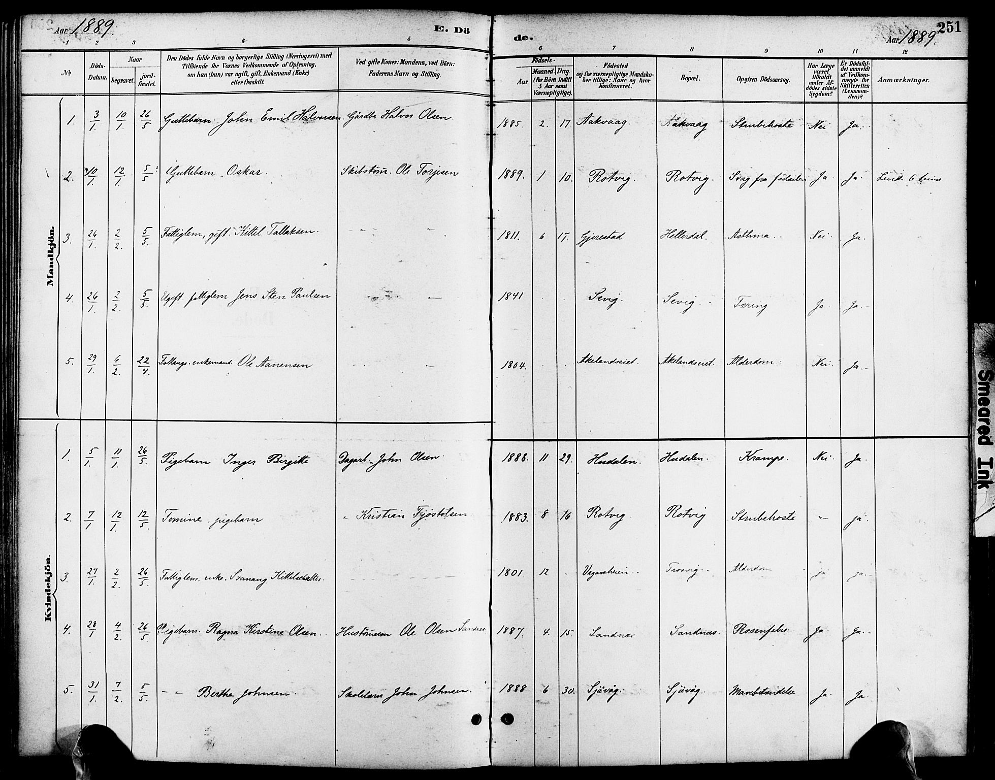 Søndeled sokneprestkontor, AV/SAK-1111-0038/F/Fa/L0005: Parish register (official) no. A 5, 1889-1899, p. 251