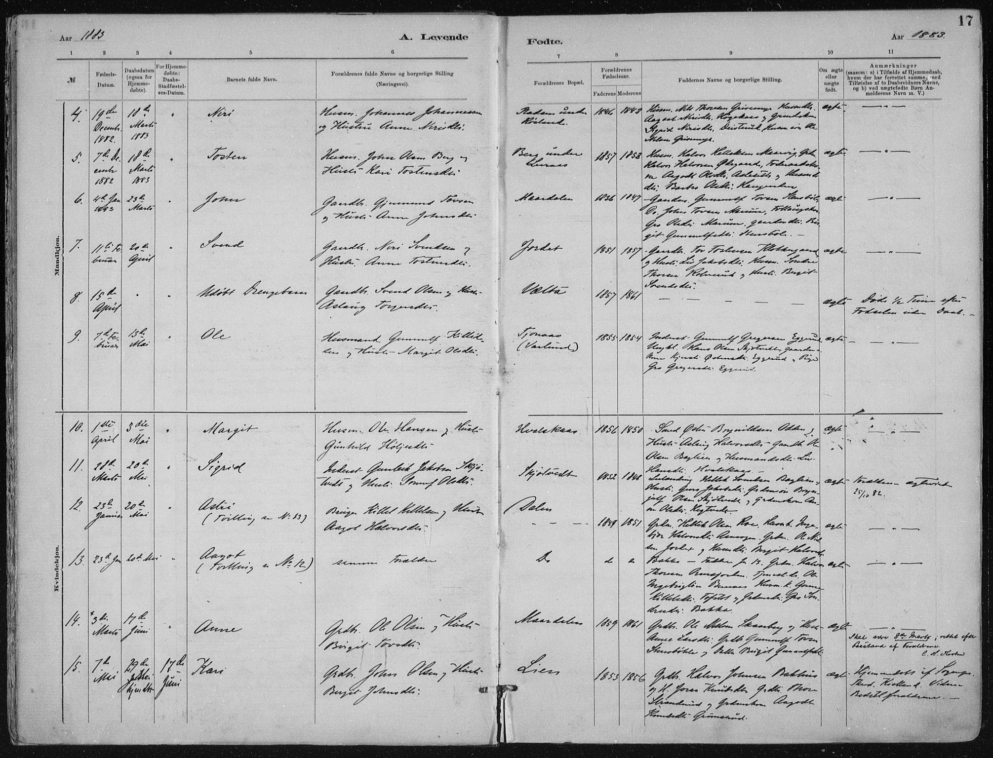 Tinn kirkebøker, AV/SAKO-A-308/F/Fa/L0007: Parish register (official) no. I 7, 1878-1922, p. 17