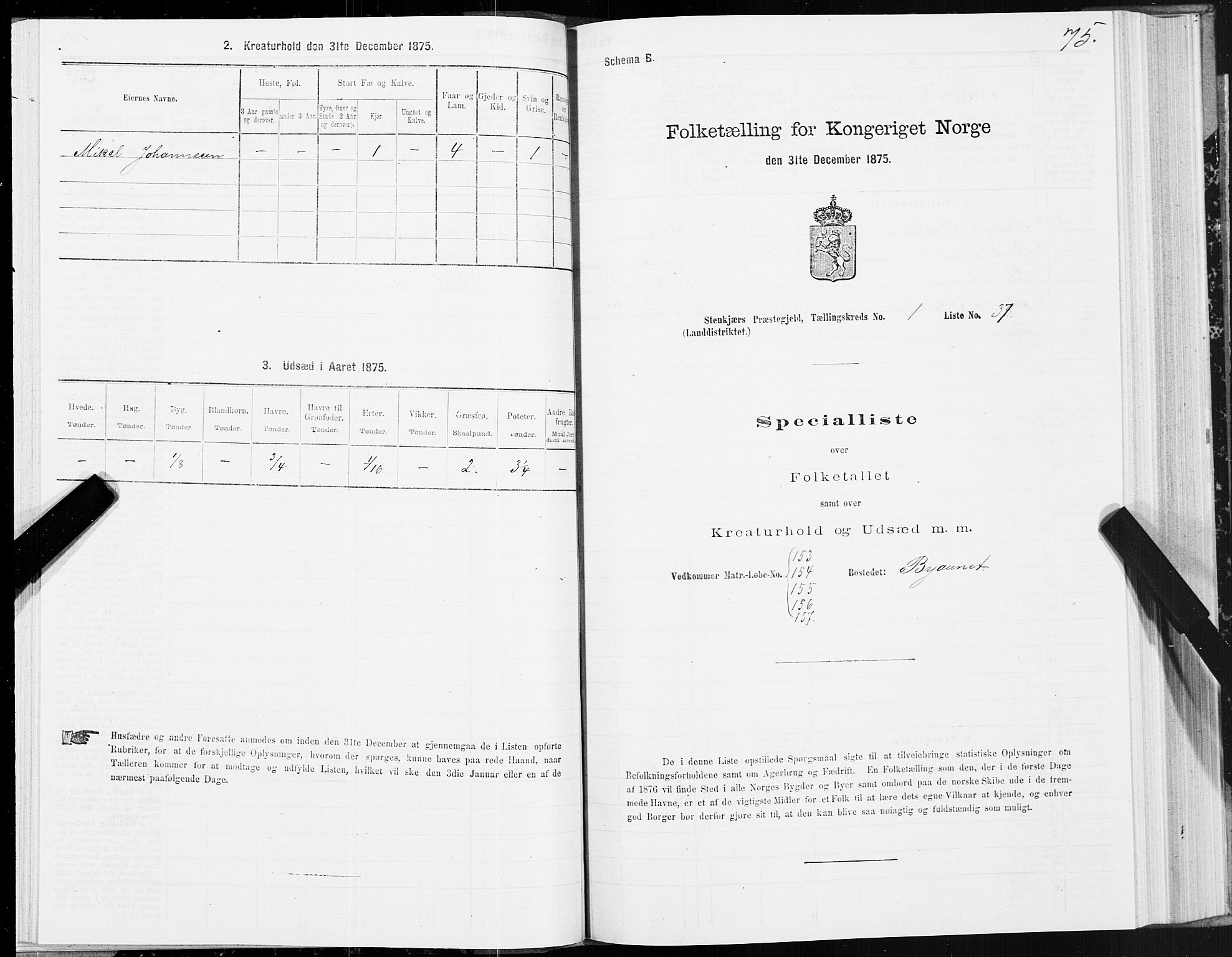 SAT, 1875 census for 1733L Steinkjer/Egge, 1875, p. 1075