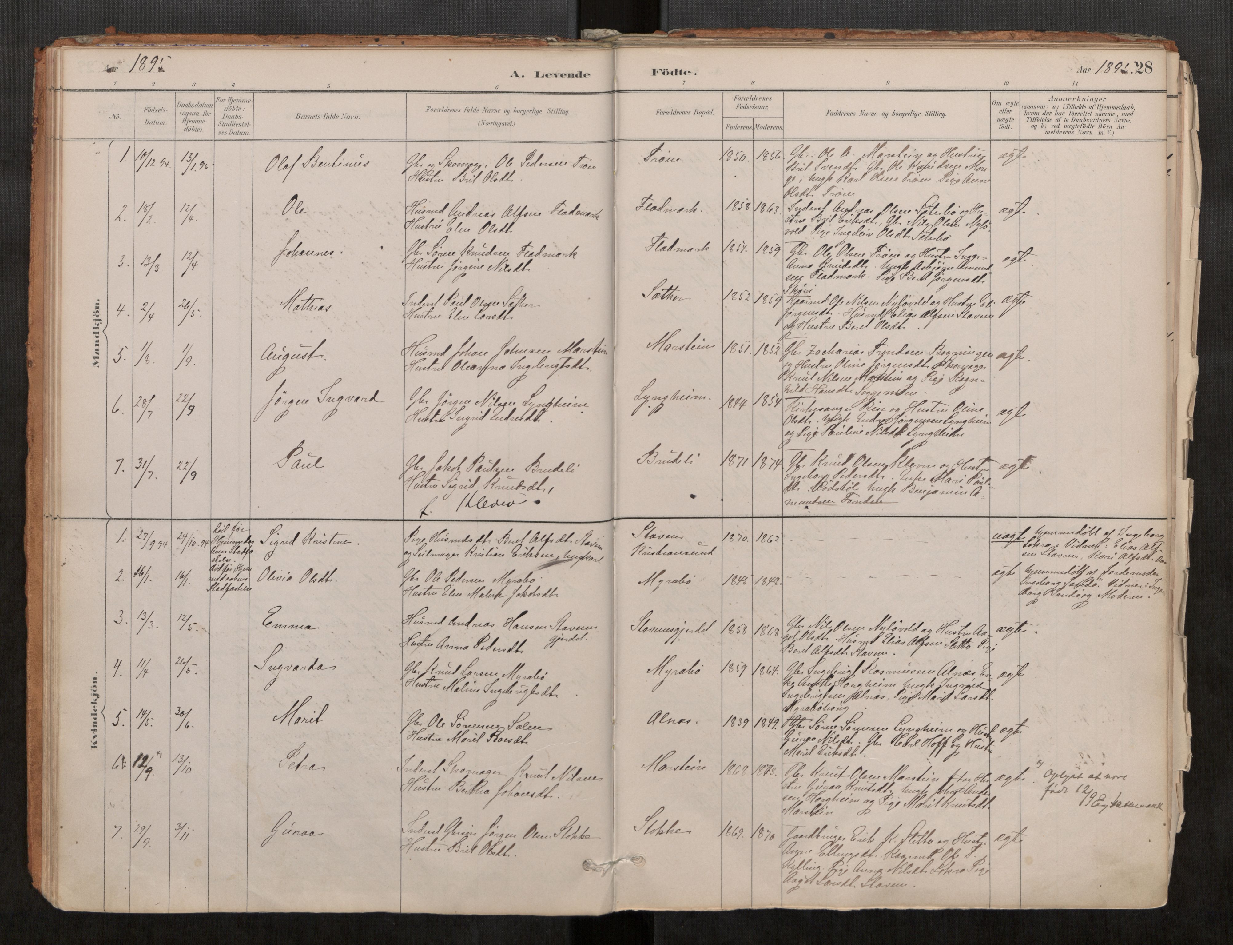 Ministerialprotokoller, klokkerbøker og fødselsregistre - Møre og Romsdal, SAT/A-1454/546/L0599: Parish register (official) no. 546A03, 1882-1920, p. 28