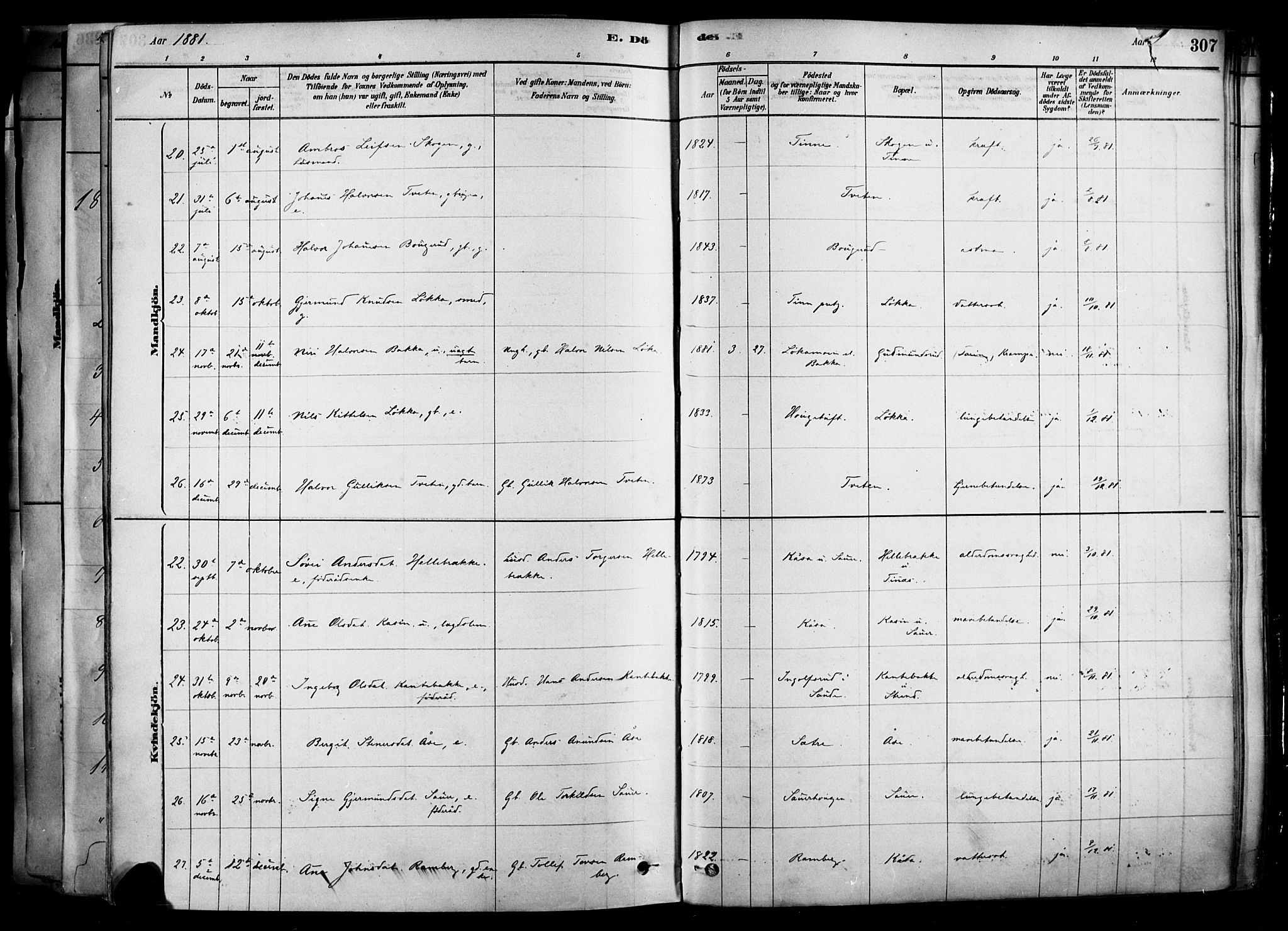 Heddal kirkebøker, SAKO/A-268/F/Fa/L0008: Parish register (official) no. I 8, 1878-1903, p. 307