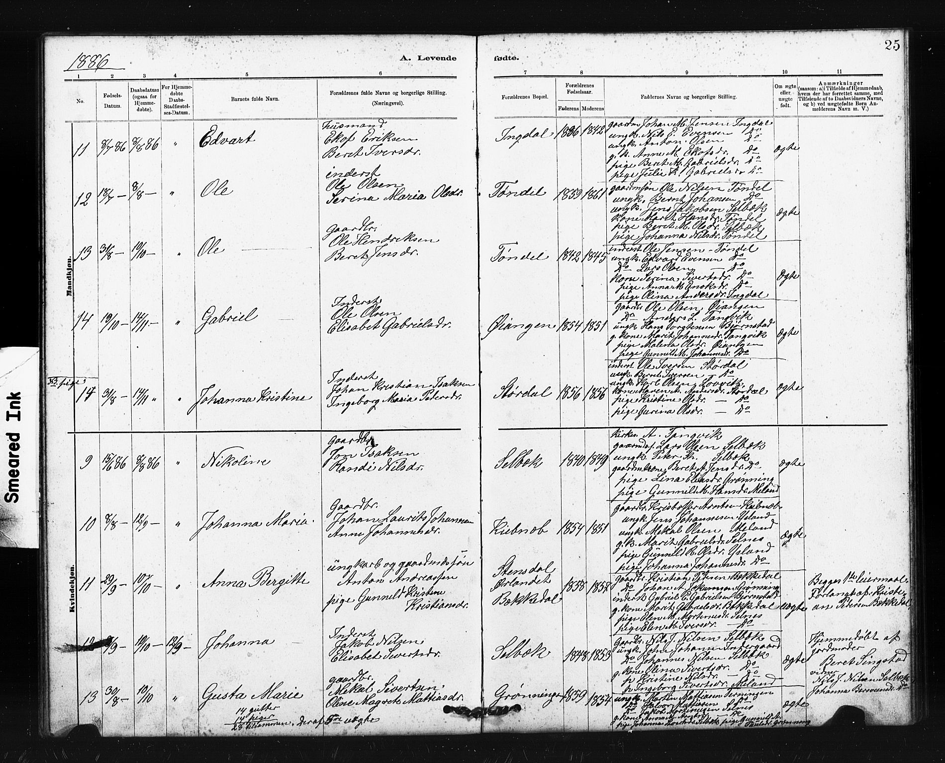 Ministerialprotokoller, klokkerbøker og fødselsregistre - Sør-Trøndelag, AV/SAT-A-1456/663/L0761: Parish register (copy) no. 663C01, 1880-1893, p. 25