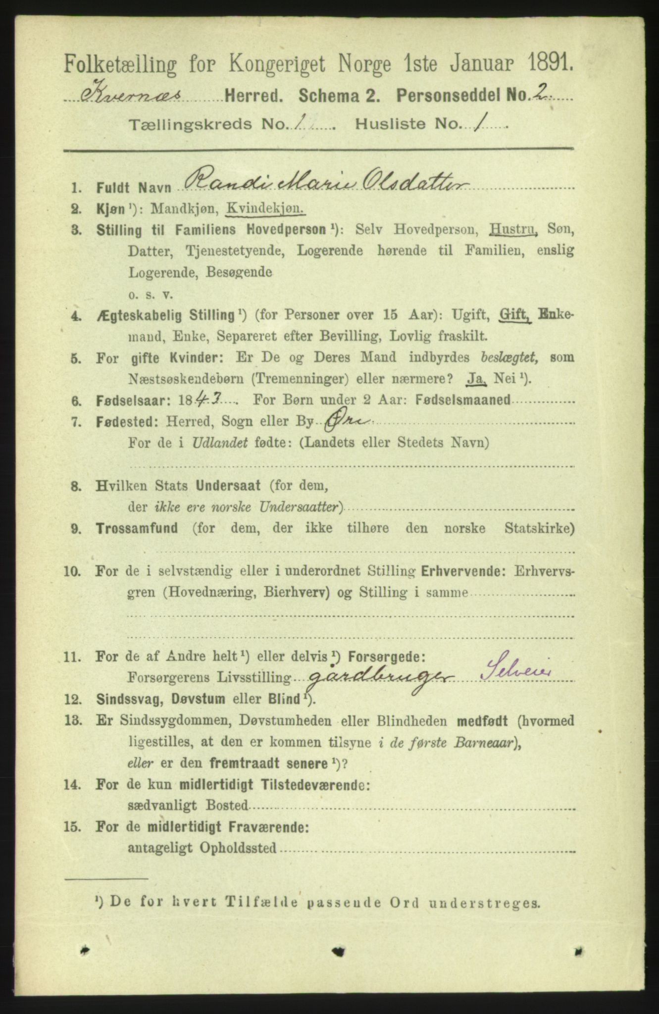 RA, 1891 census for 1553 Kvernes, 1891, p. 119