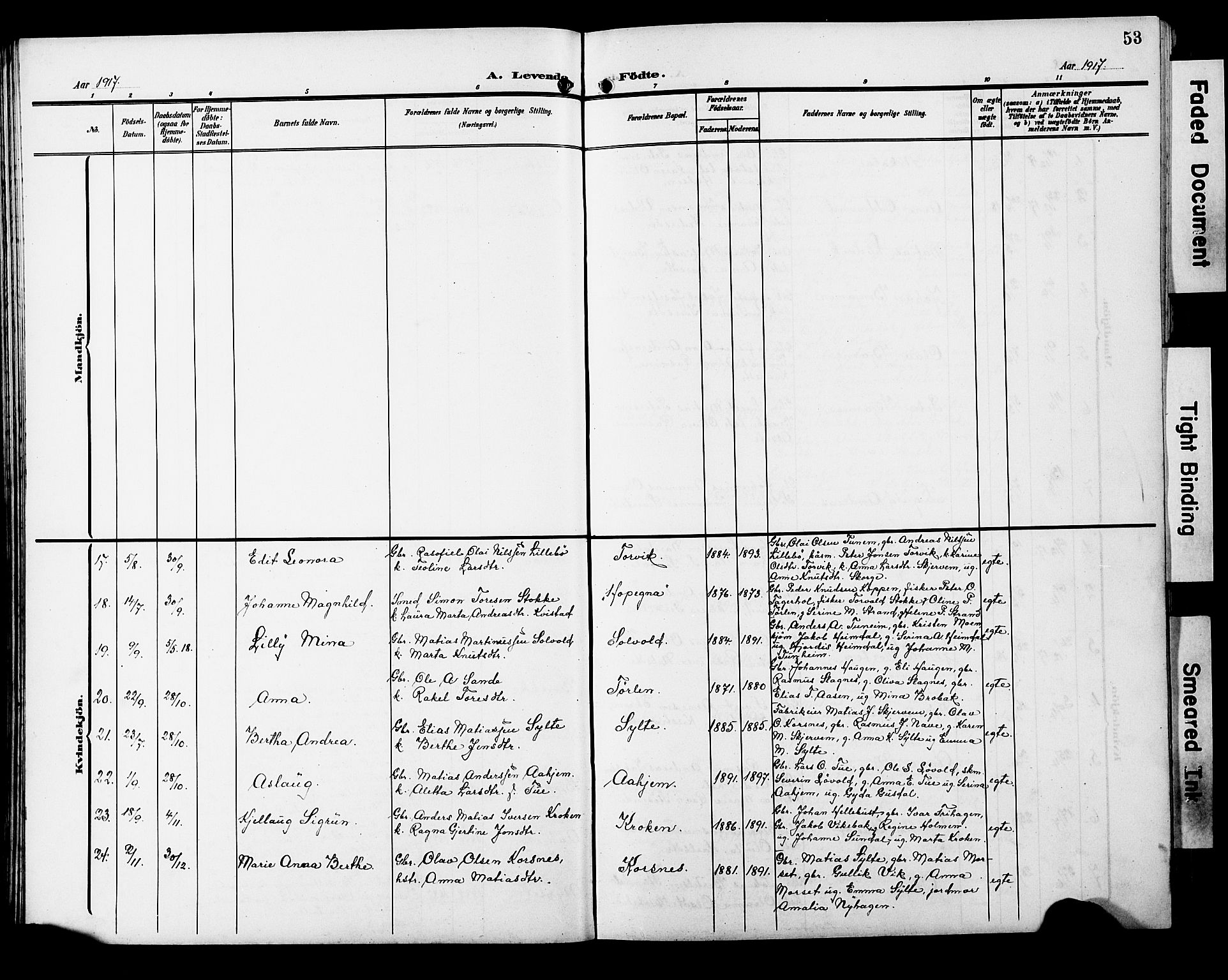 Ministerialprotokoller, klokkerbøker og fødselsregistre - Møre og Romsdal, AV/SAT-A-1454/501/L0018: Parish register (copy) no. 501C04, 1902-1930, p. 53