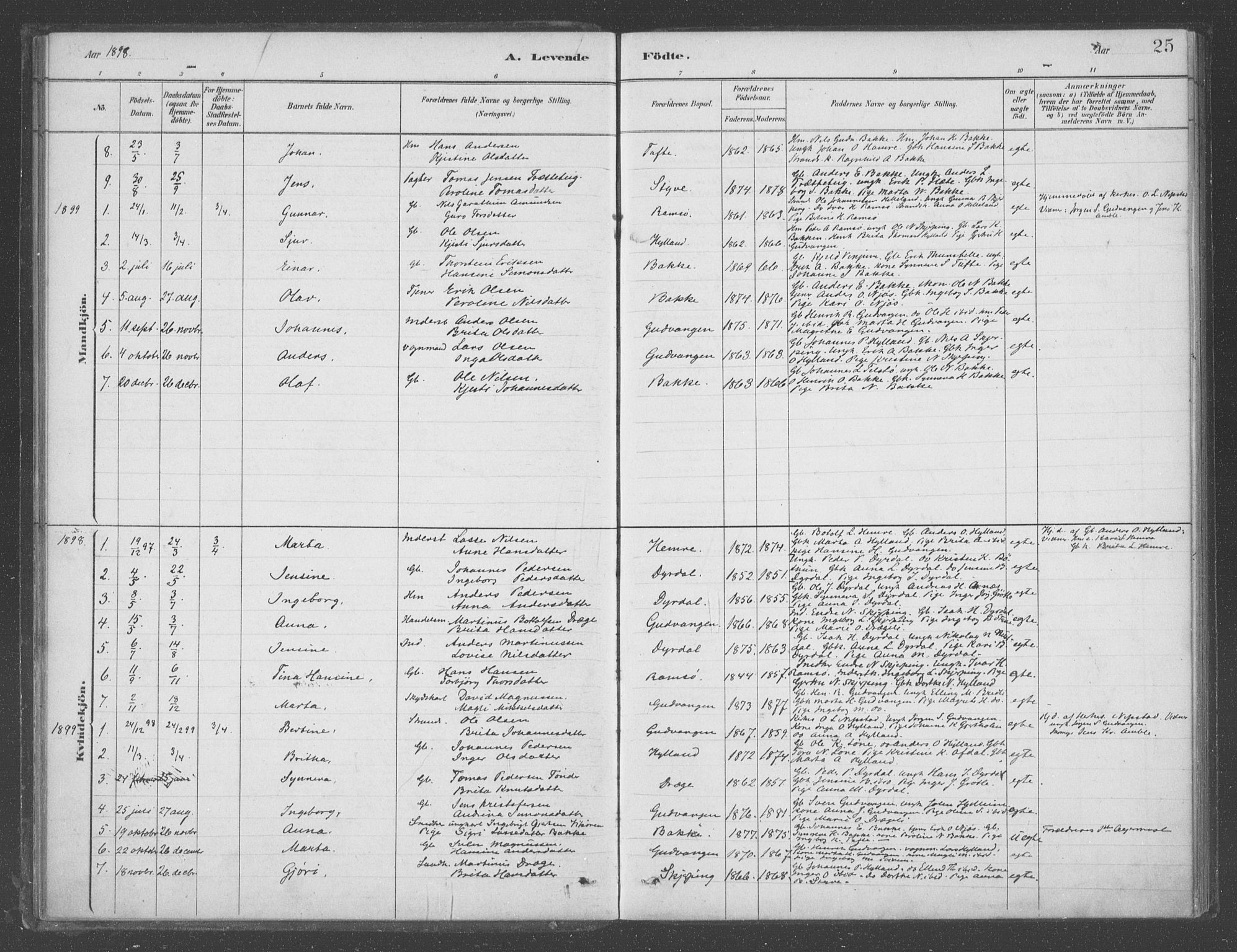Aurland sokneprestembete, SAB/A-99937/H/Ha/Had/L0001: Parish register (official) no. D  1, 1880-1903, p. 25