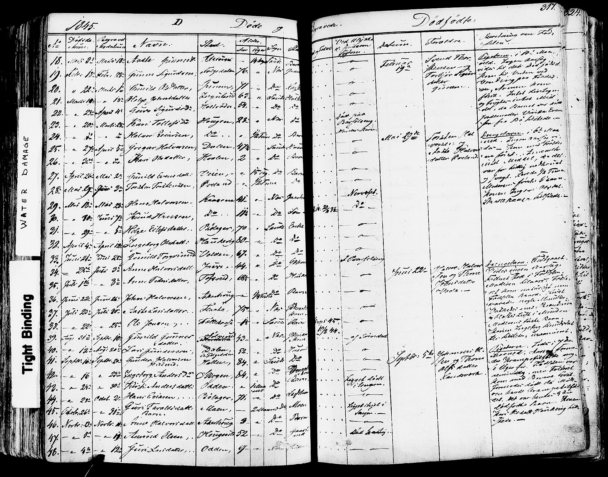 Sauherad kirkebøker, AV/SAKO-A-298/F/Fa/L0006: Parish register (official) no. I 6, 1827-1850, p. 317