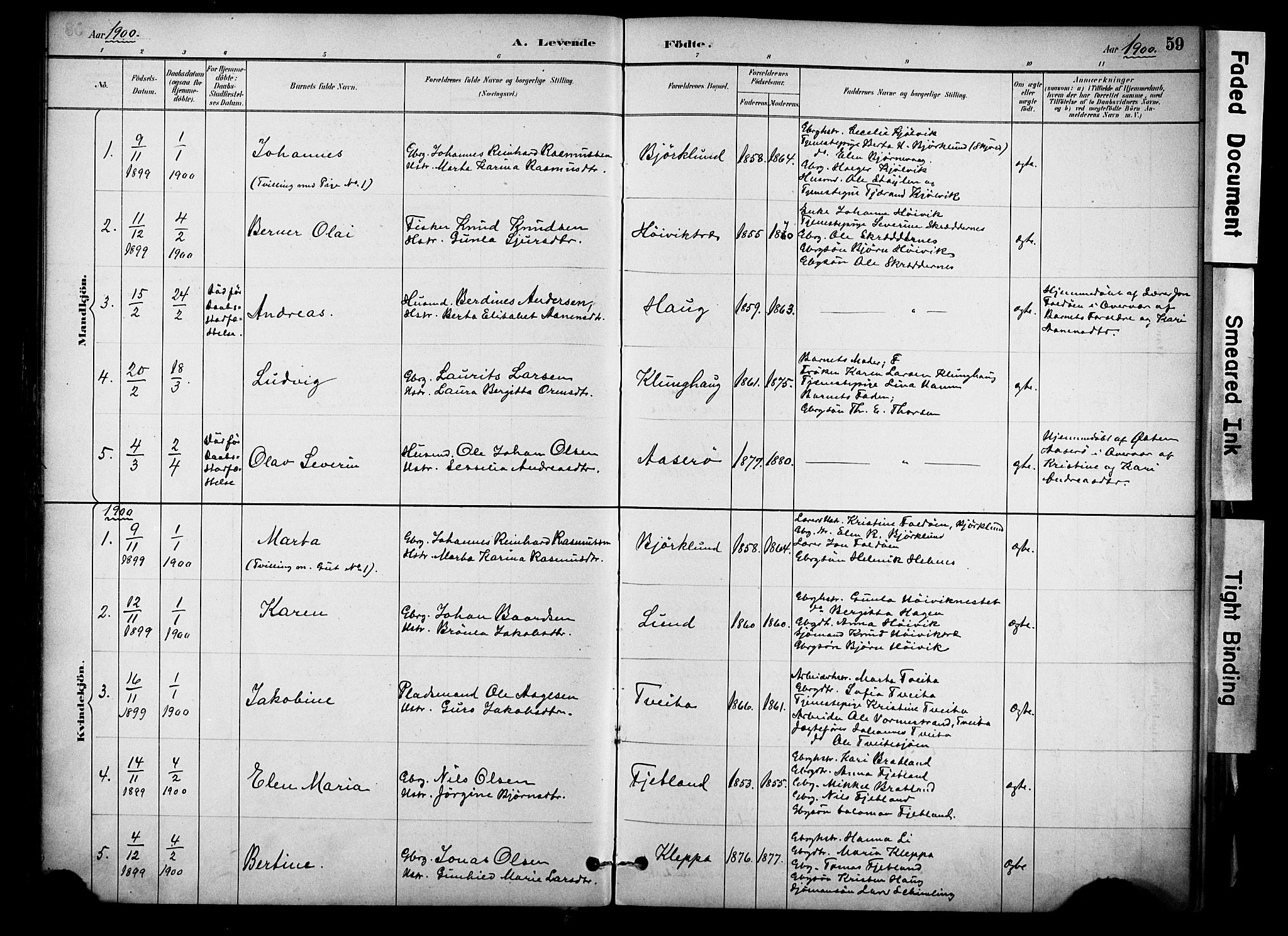 Jelsa sokneprestkontor, AV/SAST-A-101842/01/IV: Parish register (official) no. A 10, 1884-1906, p. 59