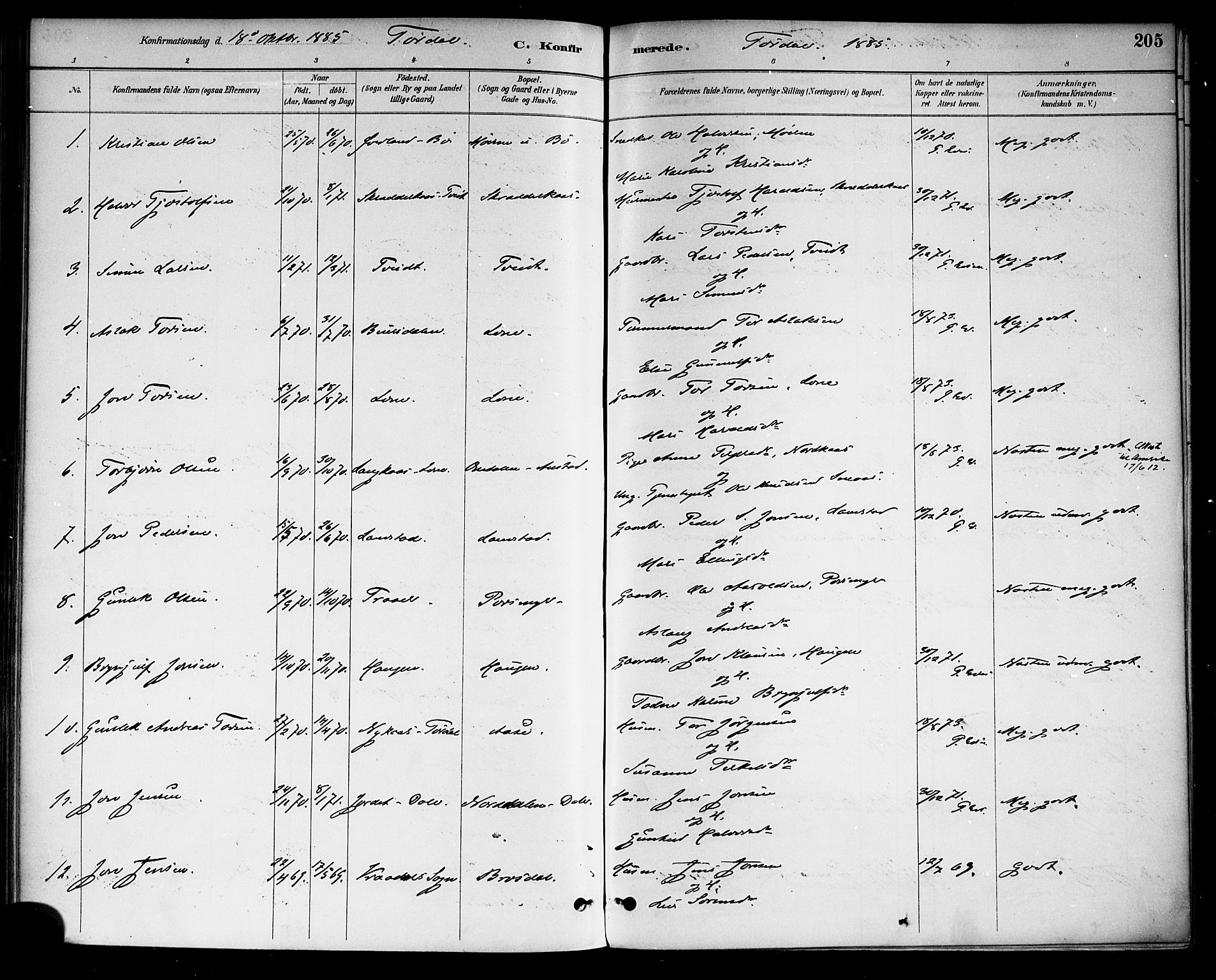 Drangedal kirkebøker, SAKO/A-258/F/Fa/L0010: Parish register (official) no. 10 /2, 1885-1894, p. 205