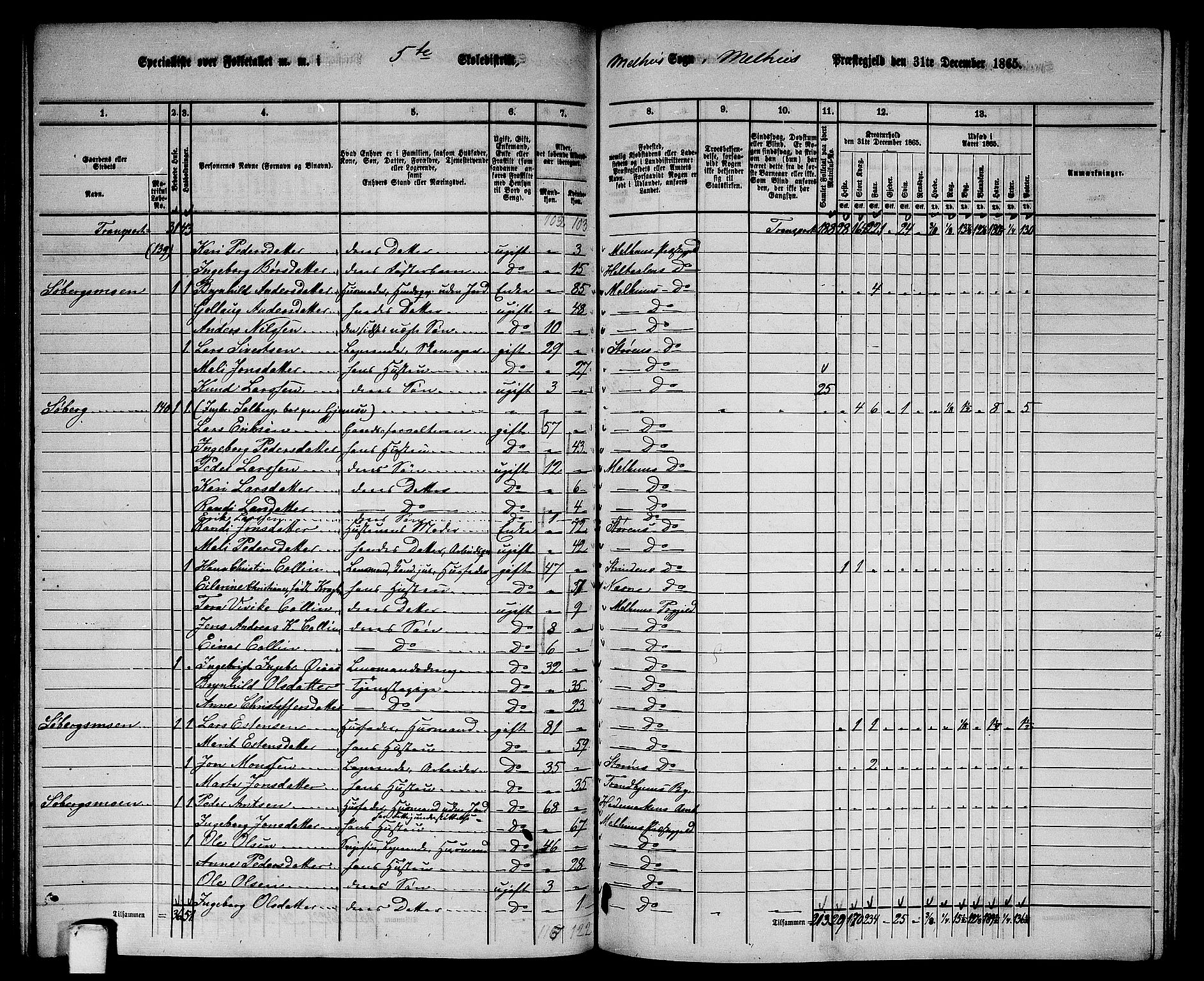 RA, 1865 census for Melhus, 1865, p. 98