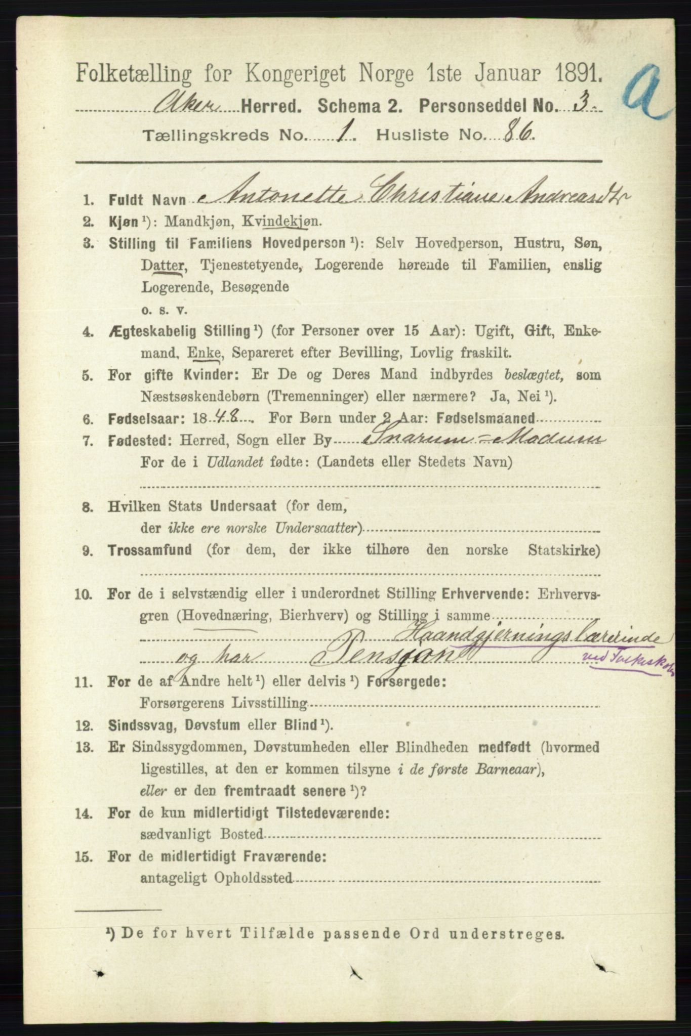 RA, 1891 census for 0218 Aker, 1891, p. 1171