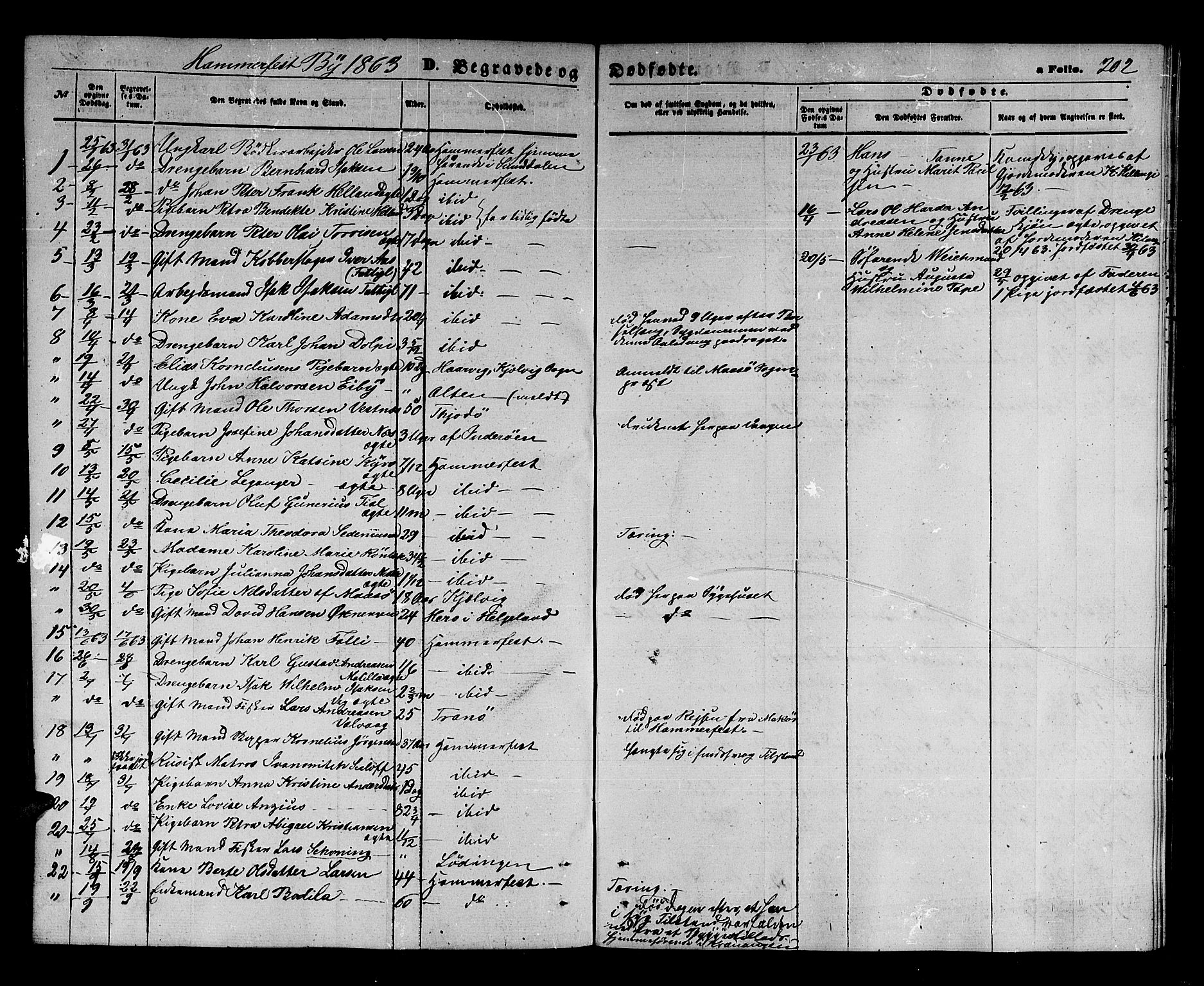 Hammerfest sokneprestkontor, AV/SATØ-S-1347/H/Hb/L0003.klokk: Parish register (copy) no. 3 /1, 1862-1868, p. 202