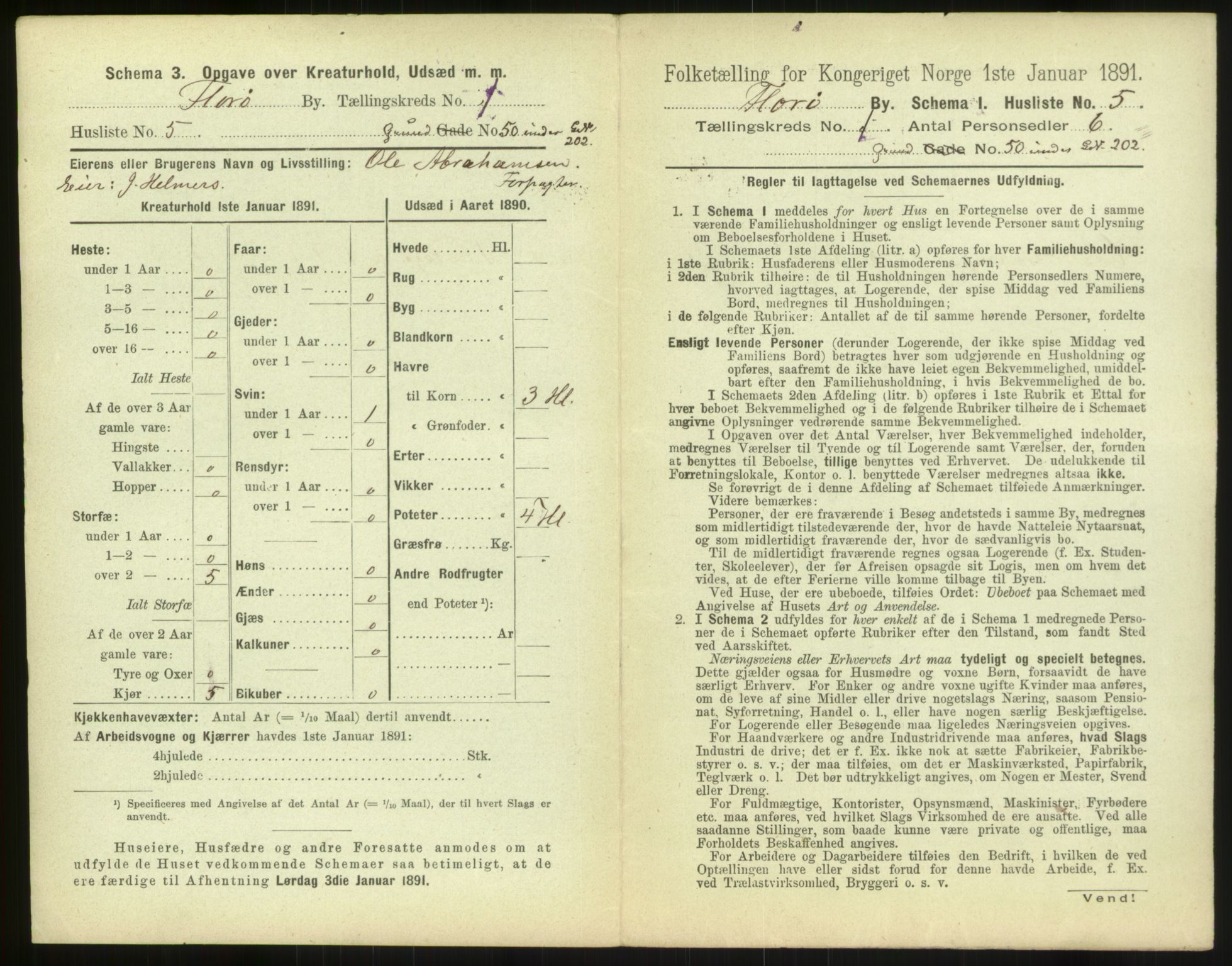 RA, 1891 census for 1401 Florø, 1891, p. 17