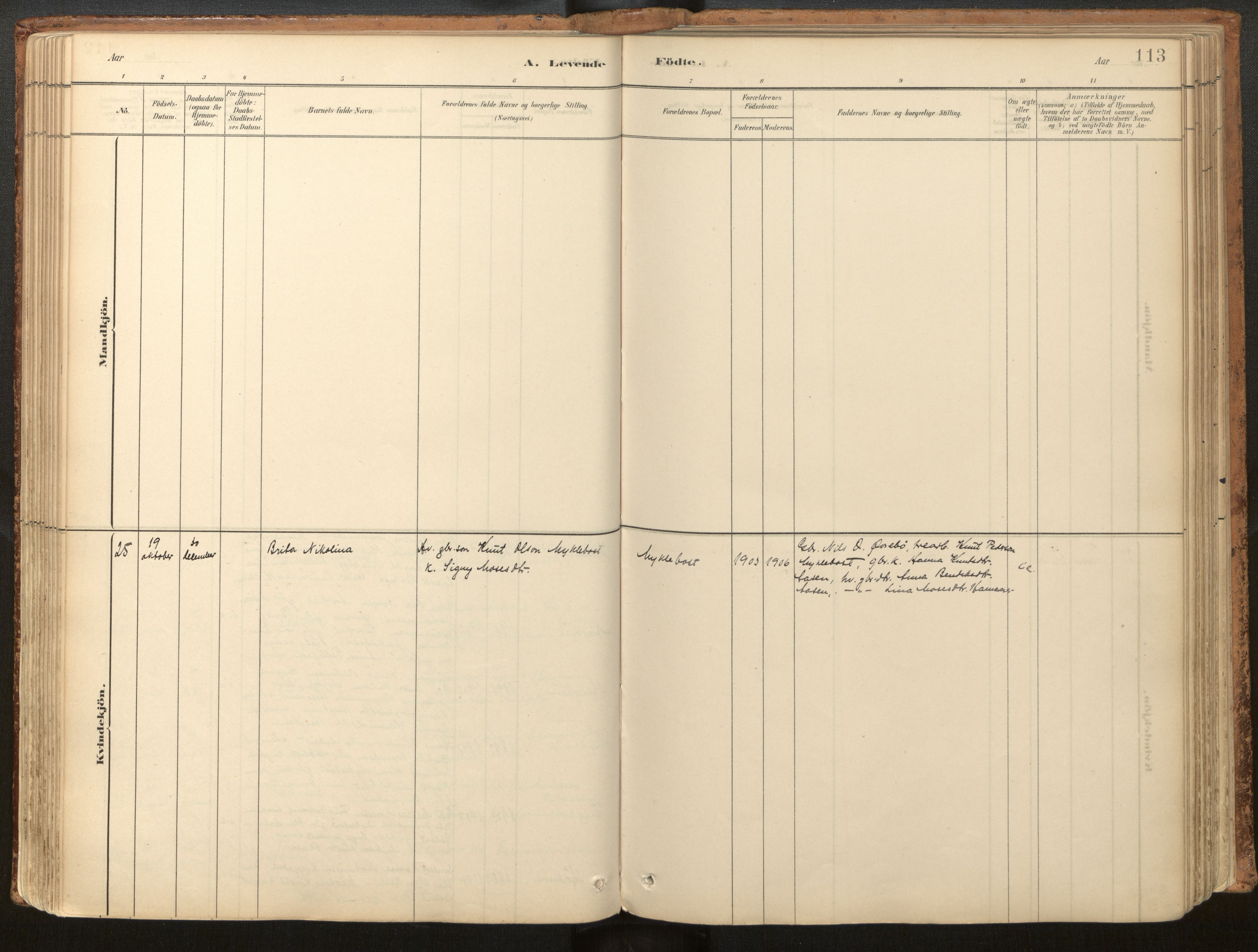 Jølster sokneprestembete, SAB/A-80701/H/Haa/Haac/L0001: Parish register (official) no. C 1, 1882-1928, p. 113