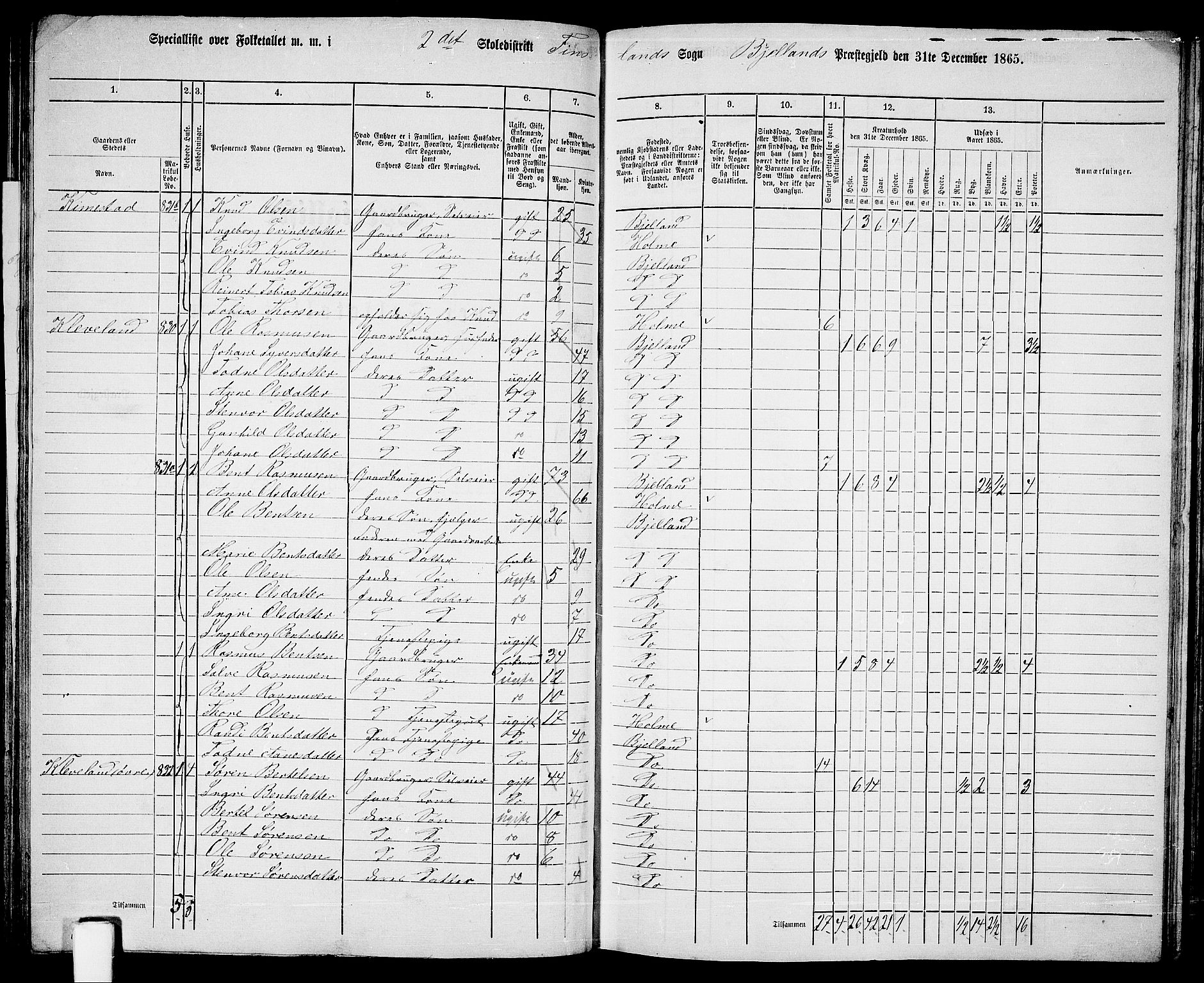 RA, 1865 census for Bjelland, 1865, p. 25