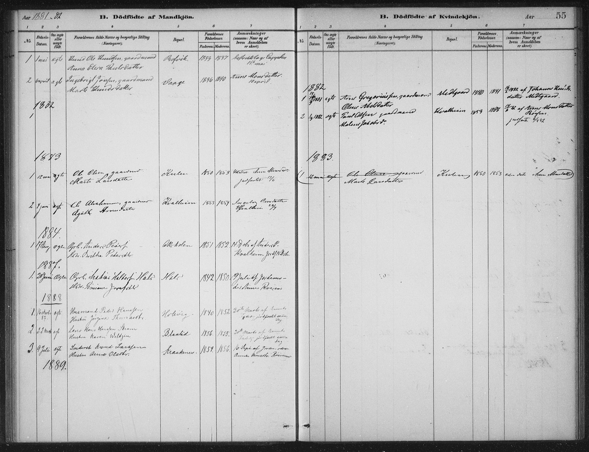 Selje sokneprestembete, AV/SAB-A-99938/H/Ha/Haa/Haac/L0001: Parish register (official) no. C  1, 1881-1888, p. 55