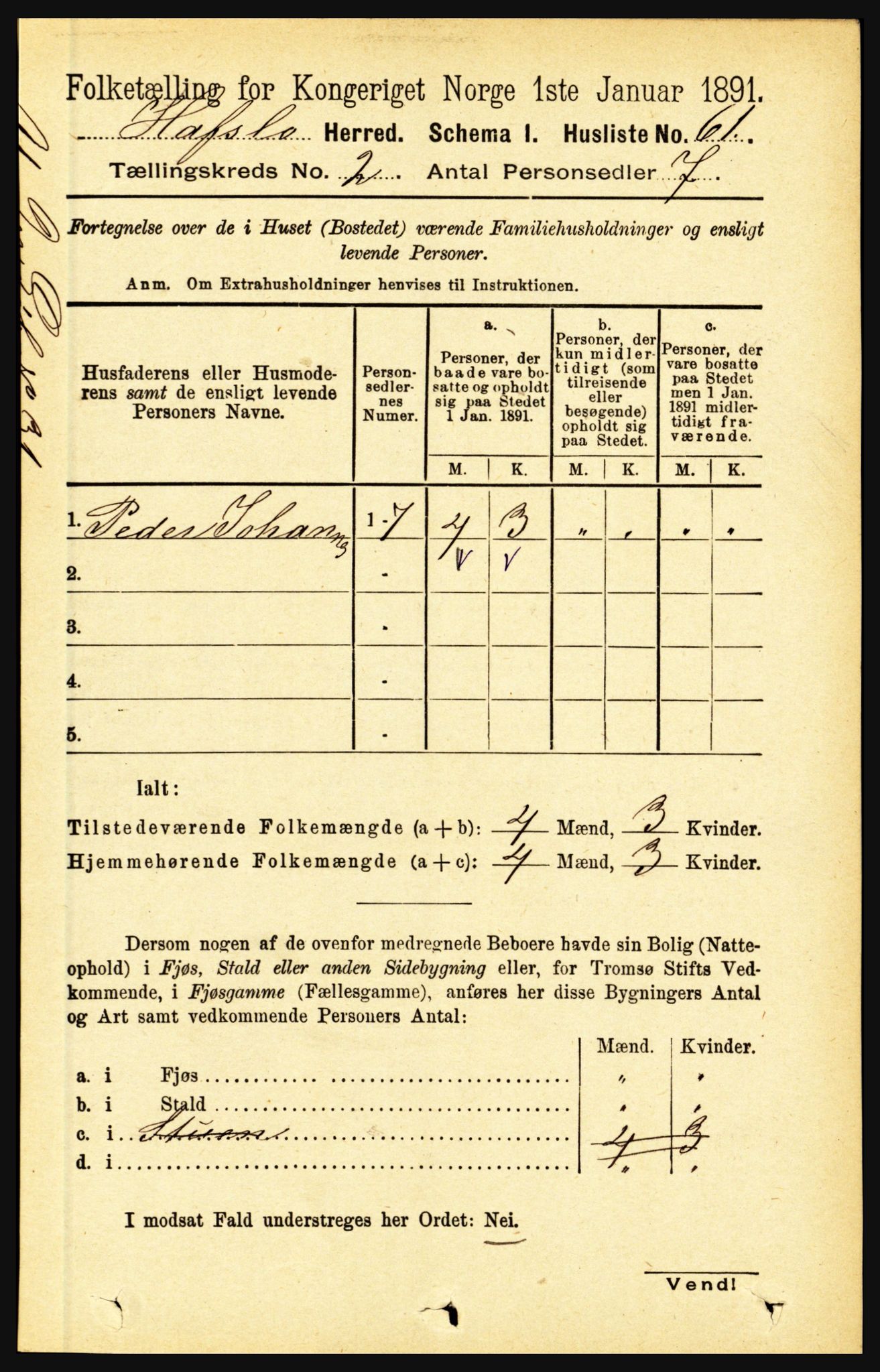 RA, 1891 census for 1425 Hafslo, 1891, p. 538