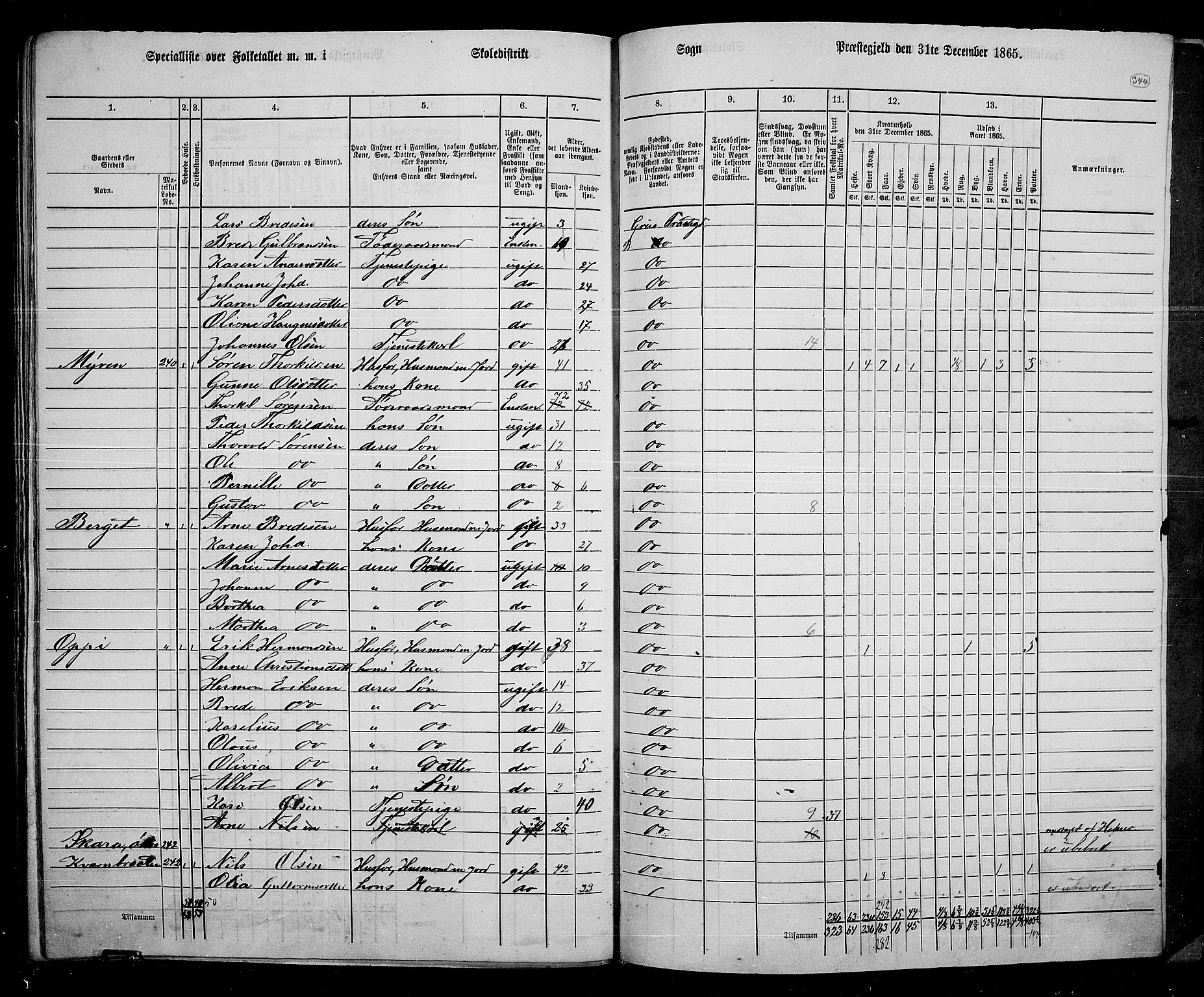 RA, 1865 census for Grue, 1865, p. 302