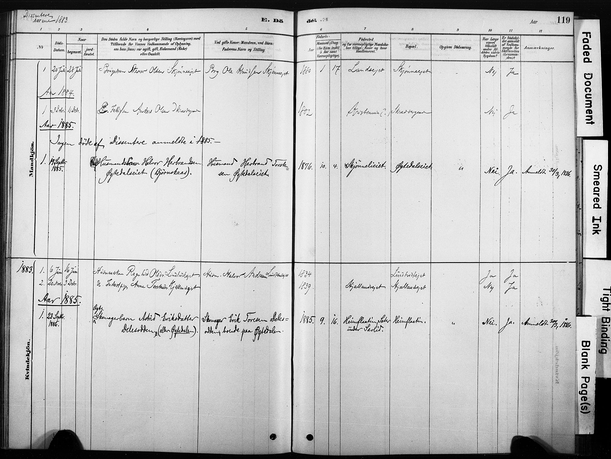Nore kirkebøker, SAKO/A-238/F/Fb/L0001: Parish register (official) no. II 1, 1878-1886, p. 119