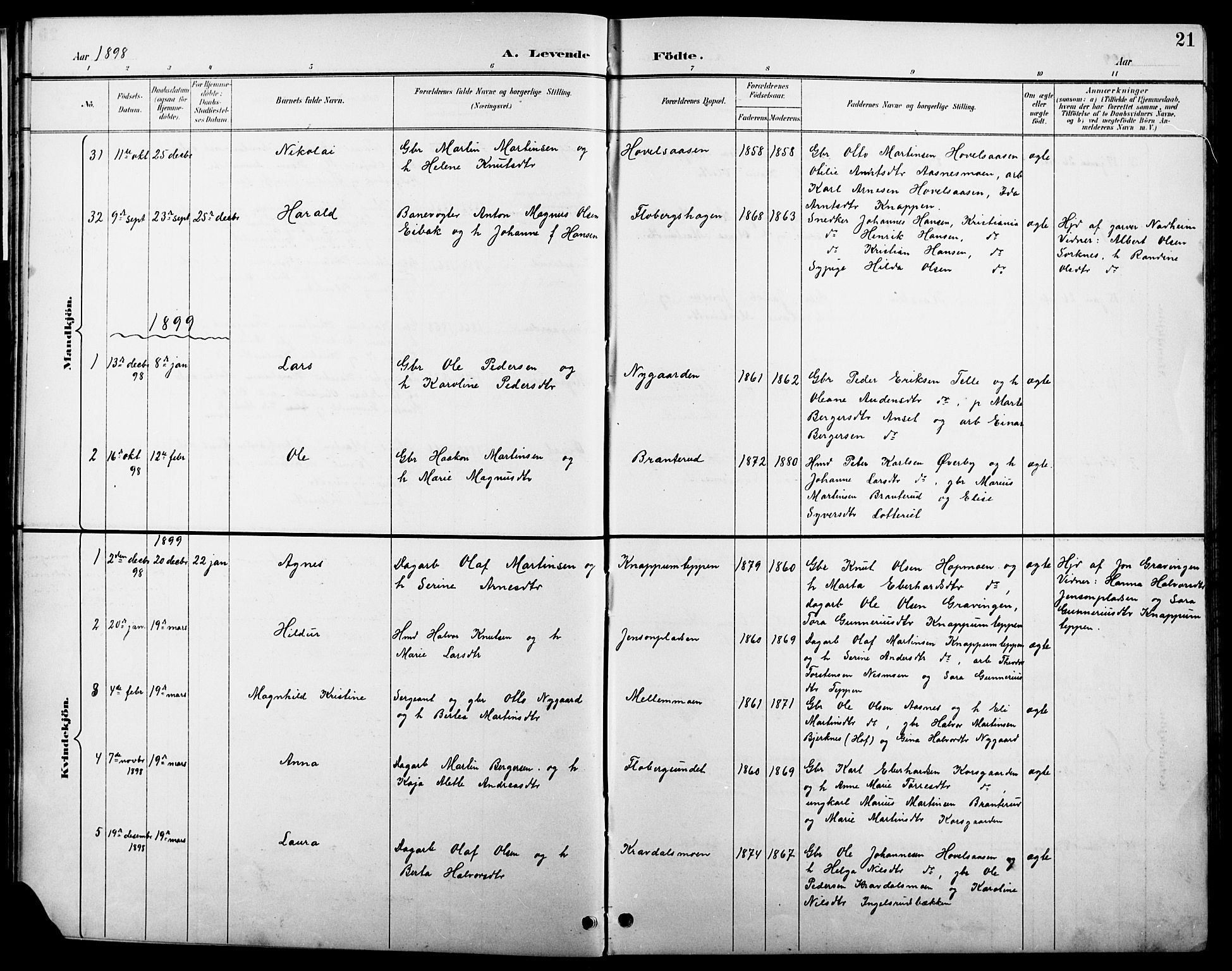 Åsnes prestekontor, AV/SAH-PREST-042/H/Ha/Hab/L0004: Parish register (copy) no. 4, 1895-1909, p. 21