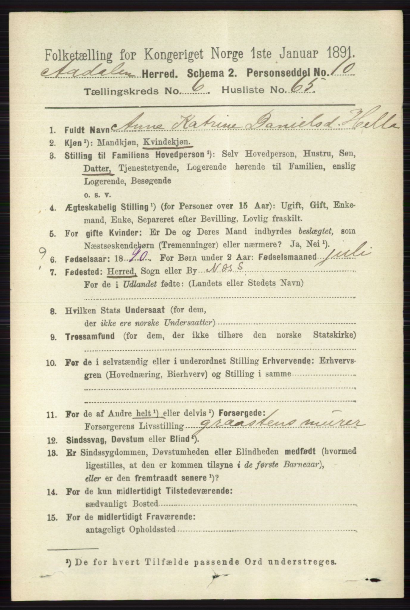 RA, 1891 census for 0614 Ådal, 1891, p. 3009