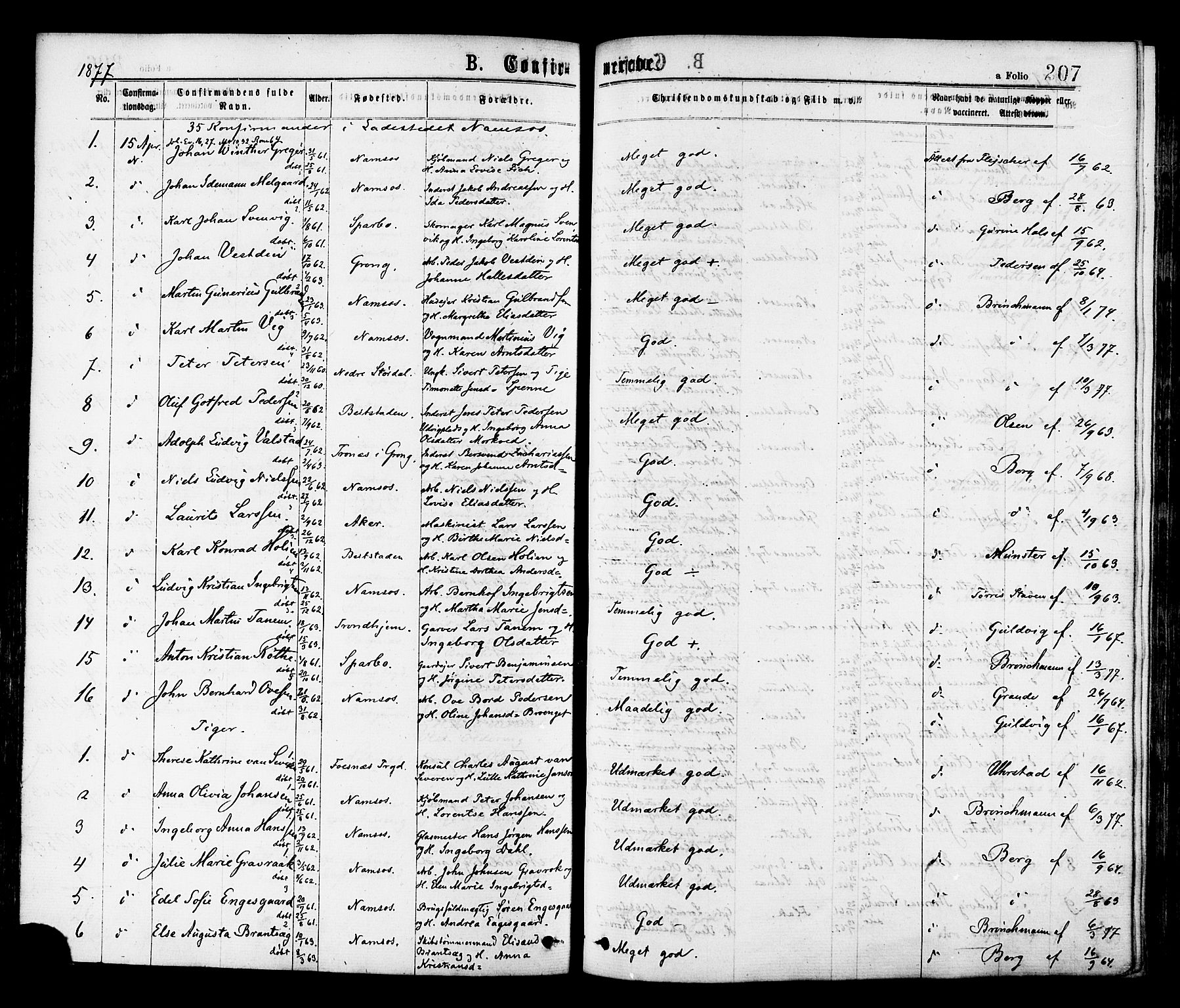 Ministerialprotokoller, klokkerbøker og fødselsregistre - Nord-Trøndelag, SAT/A-1458/768/L0572: Parish register (official) no. 768A07, 1874-1886, p. 207