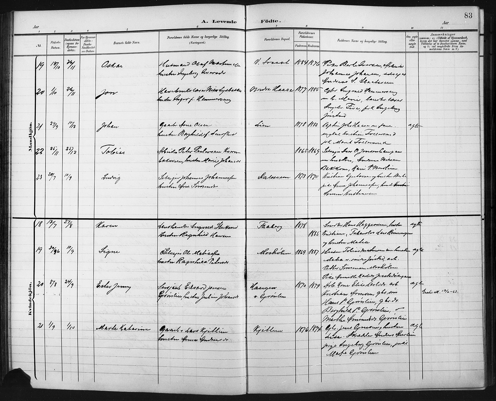 Fåberg prestekontor, AV/SAH-PREST-086/H/Ha/Hab/L0011: Parish register (copy) no. 11, 1901-1921, p. 83